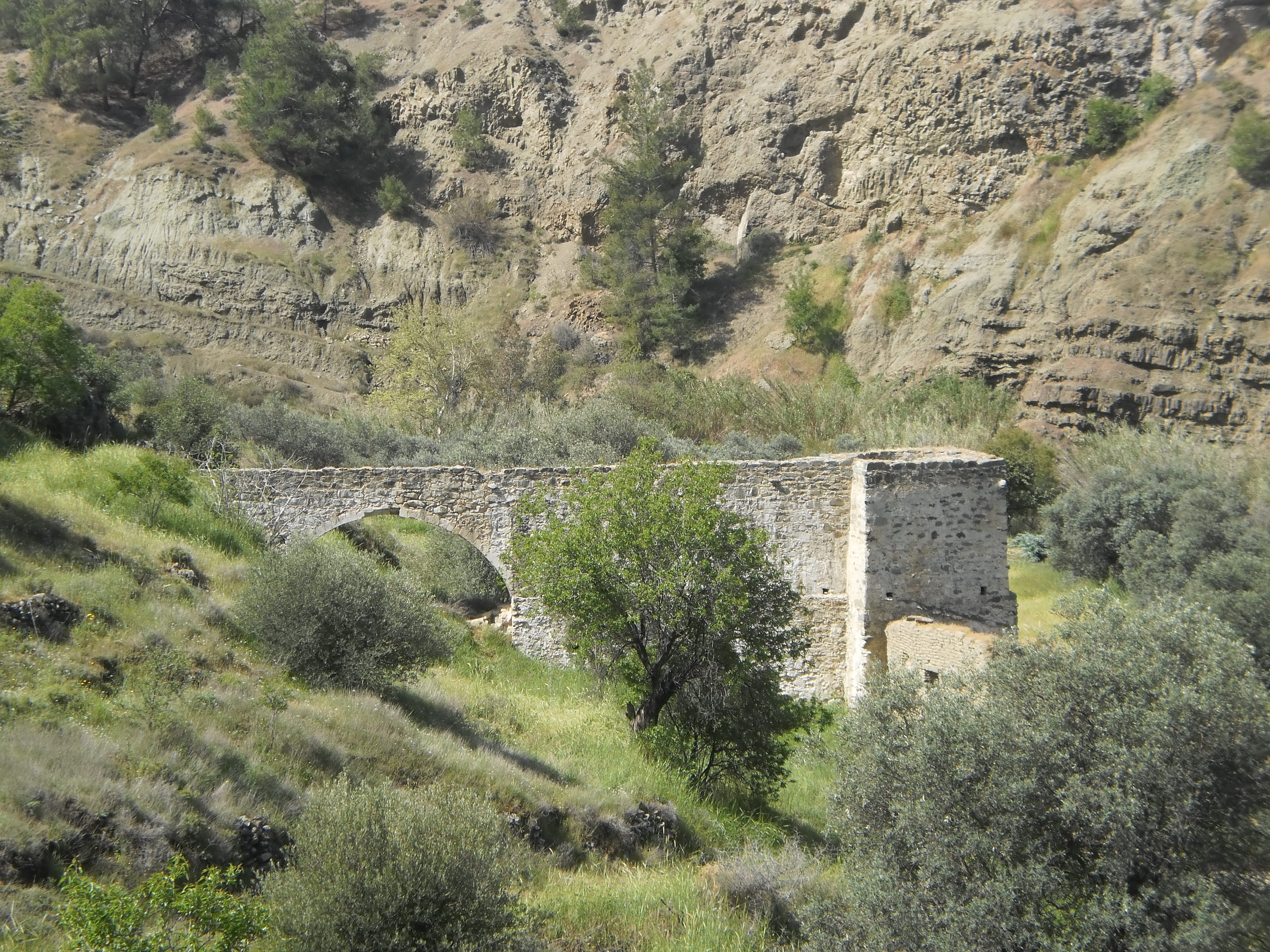 Image Description