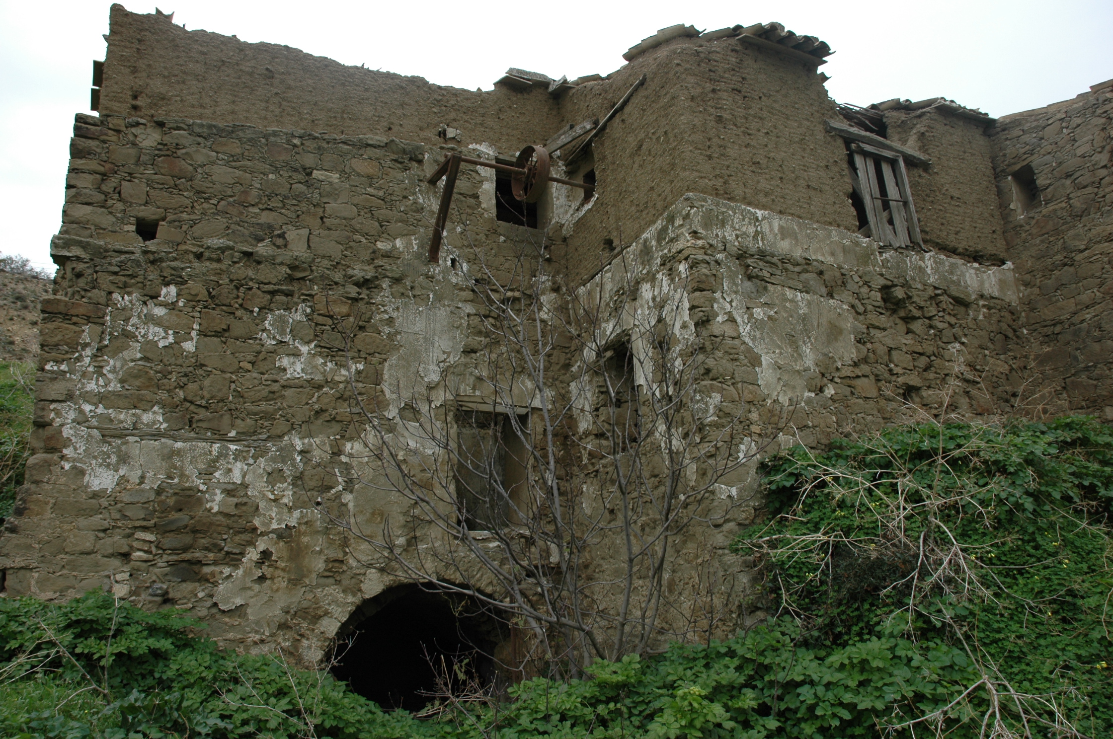 Image Description