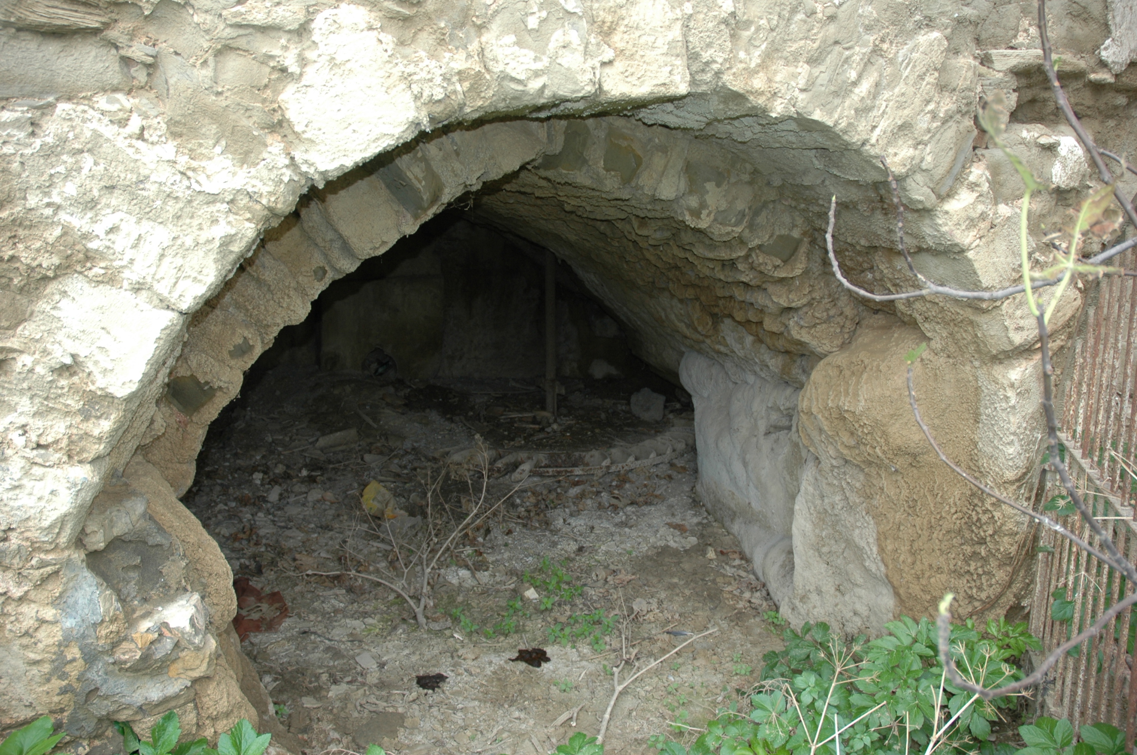 Image Description