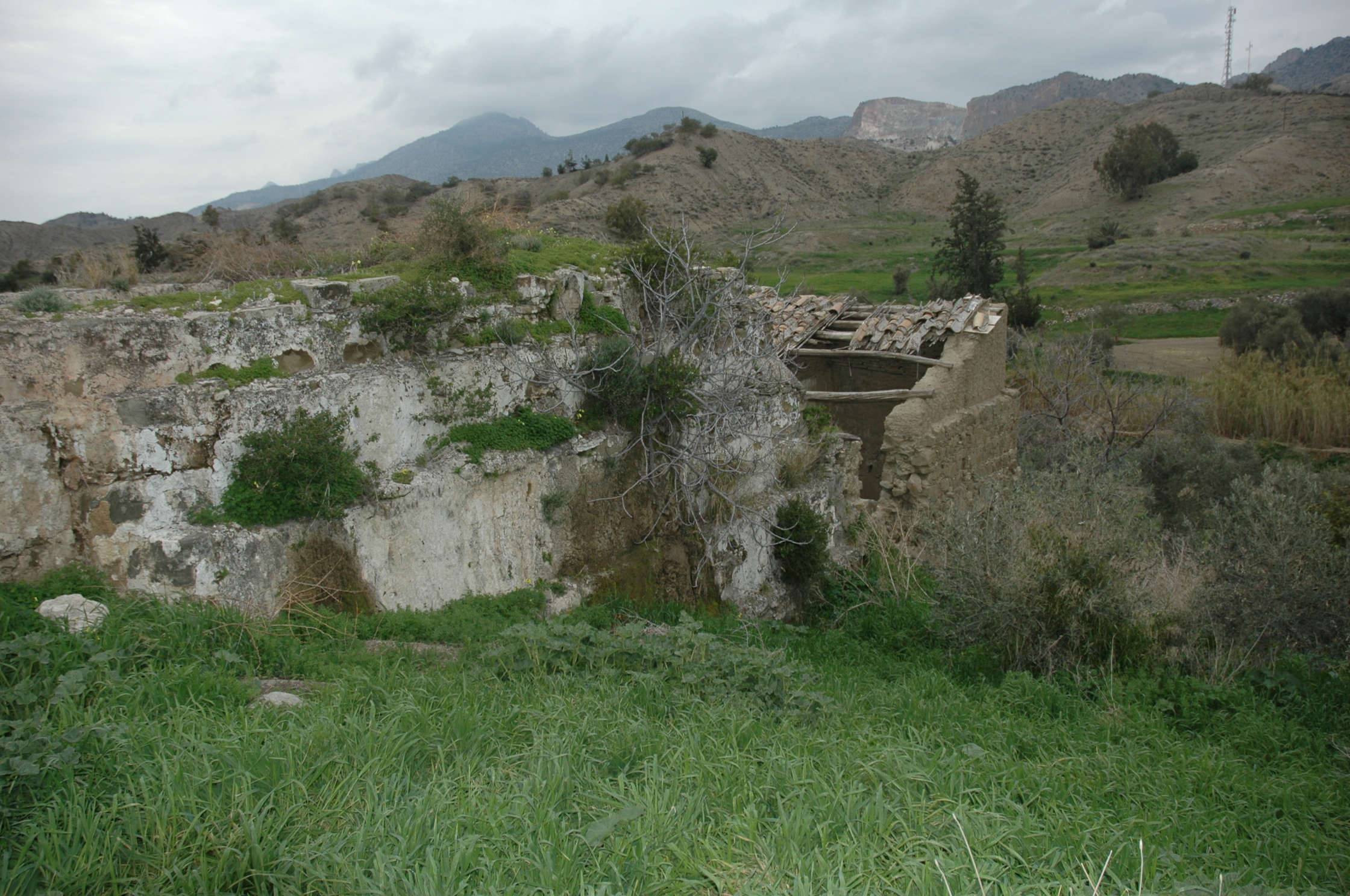 Image Description