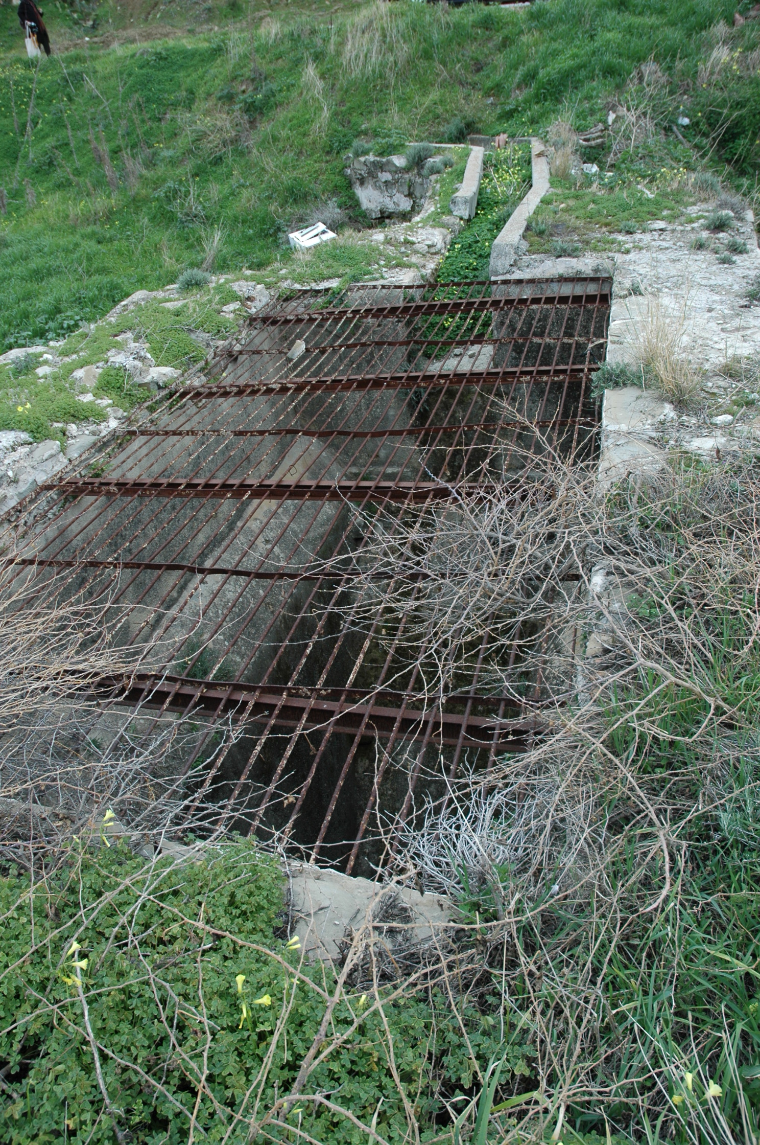 Image Description