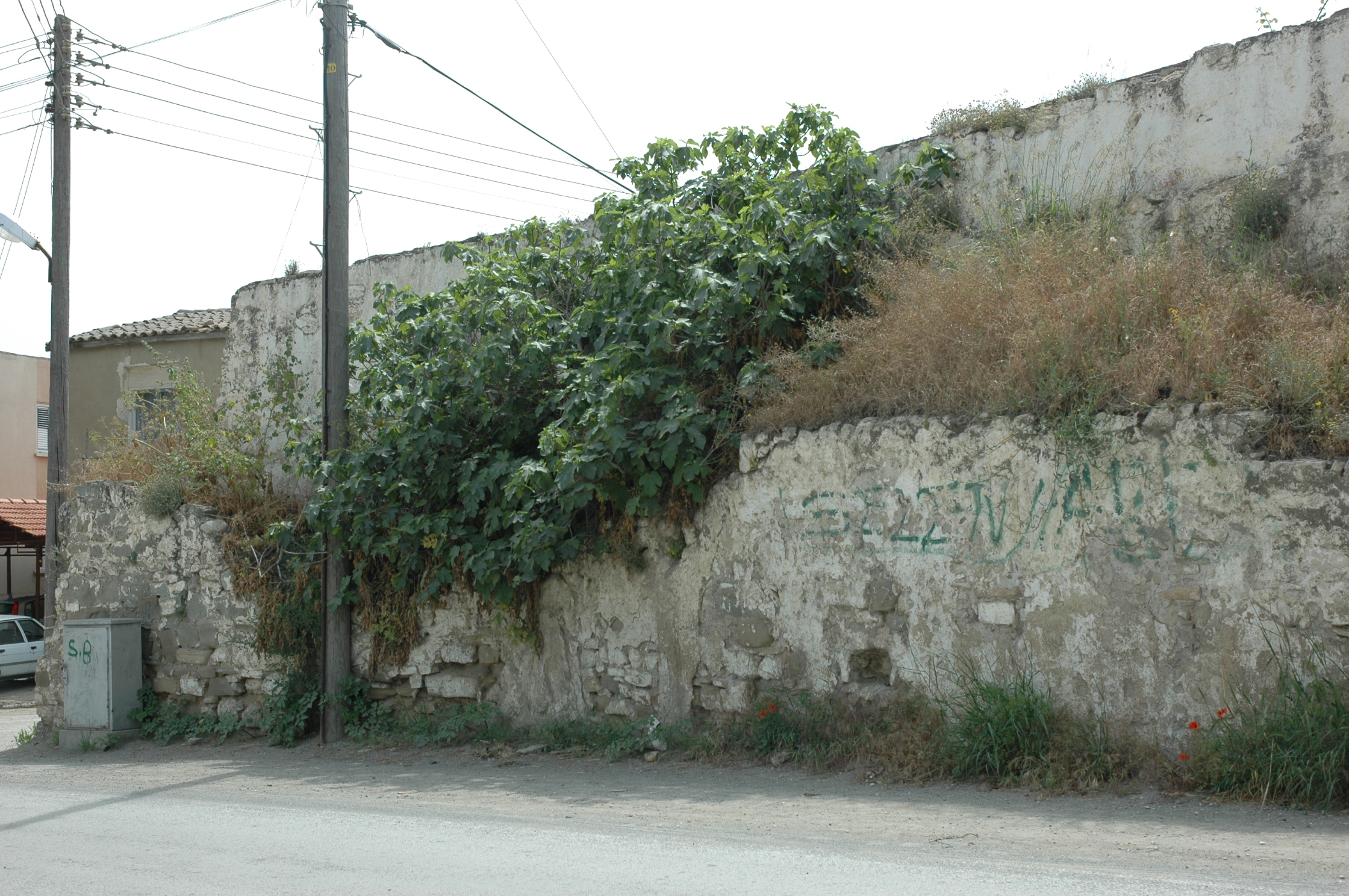 Image Description
