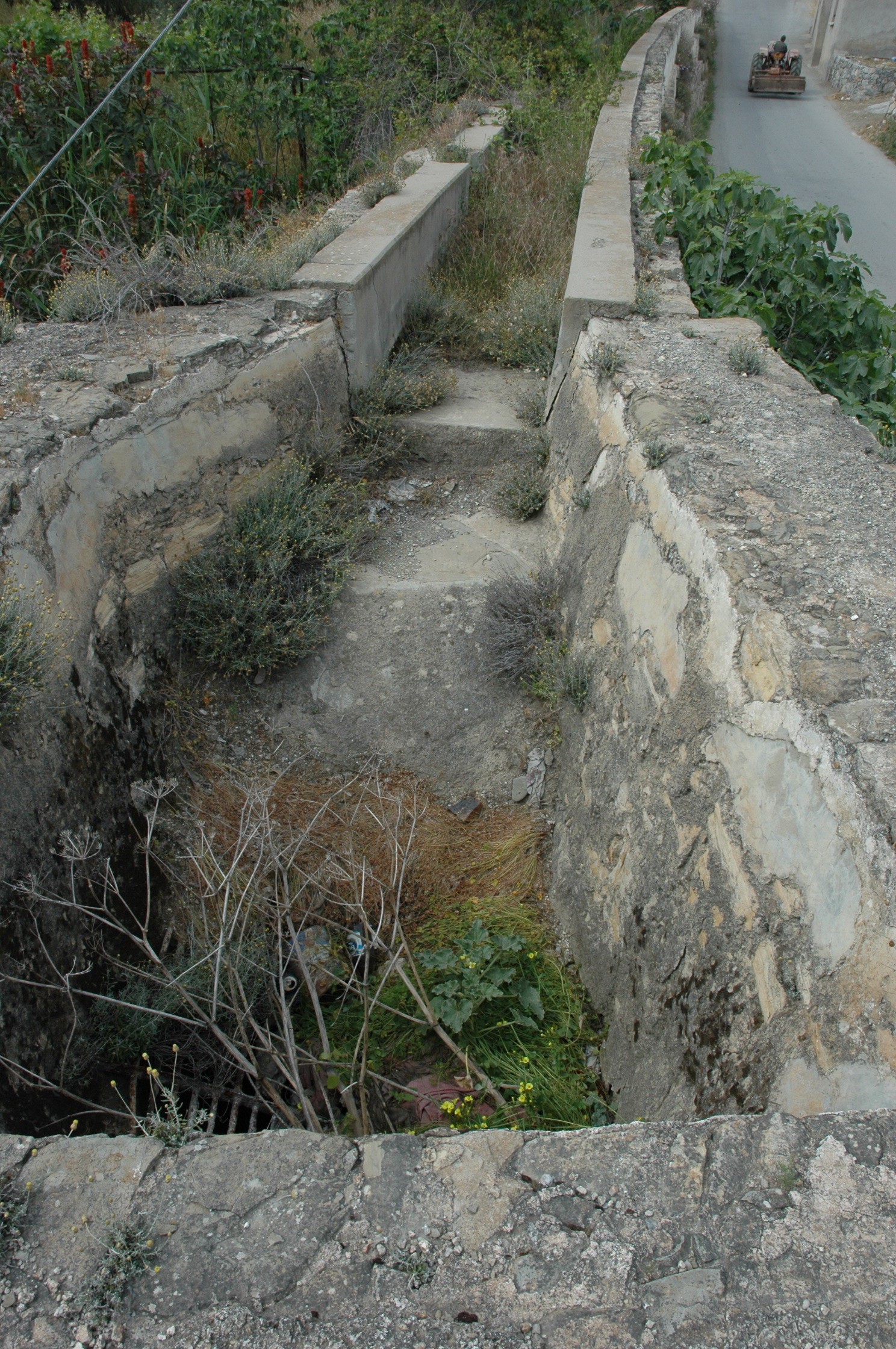 Image Description