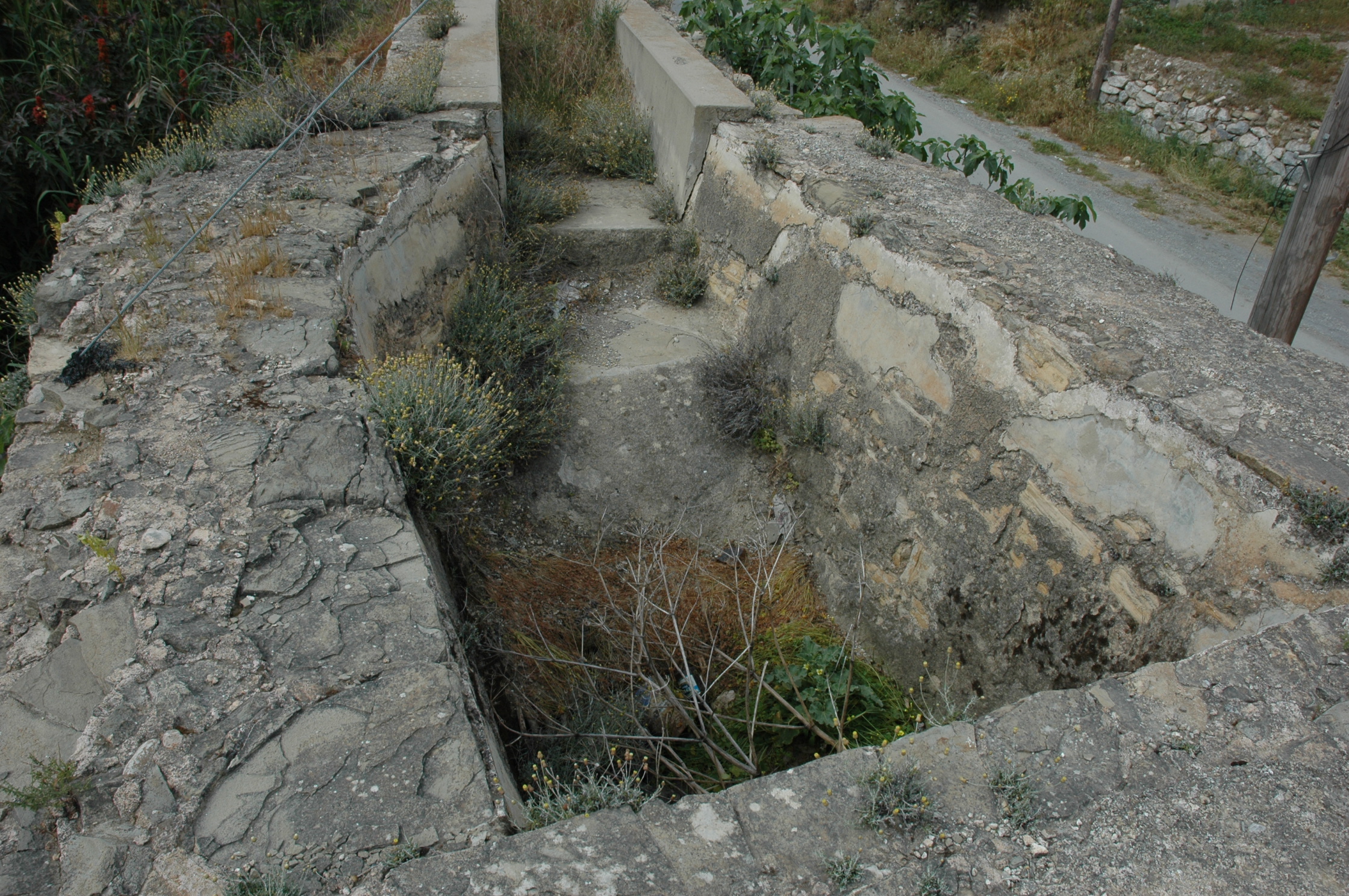 Image Description