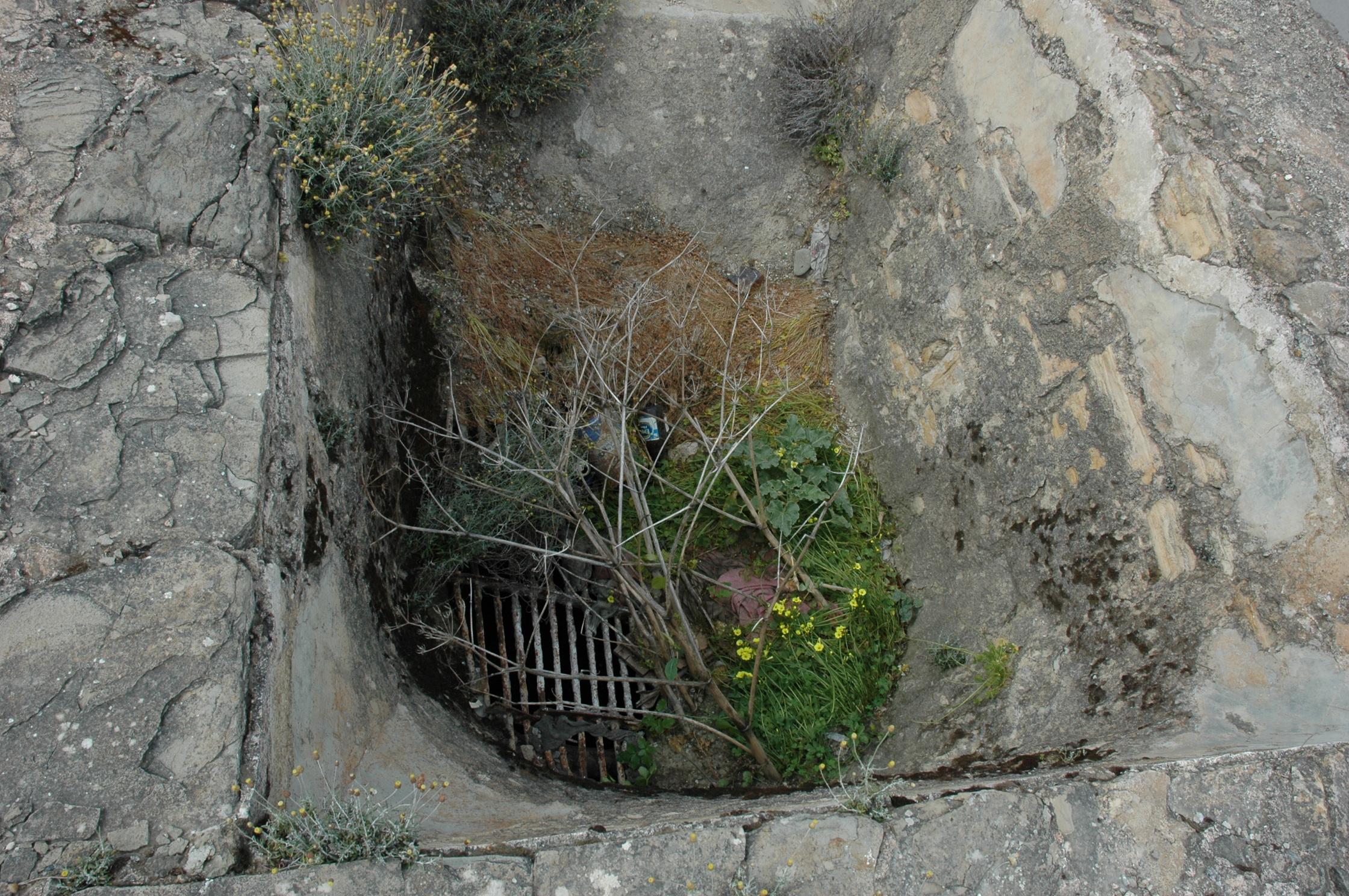 Image Description