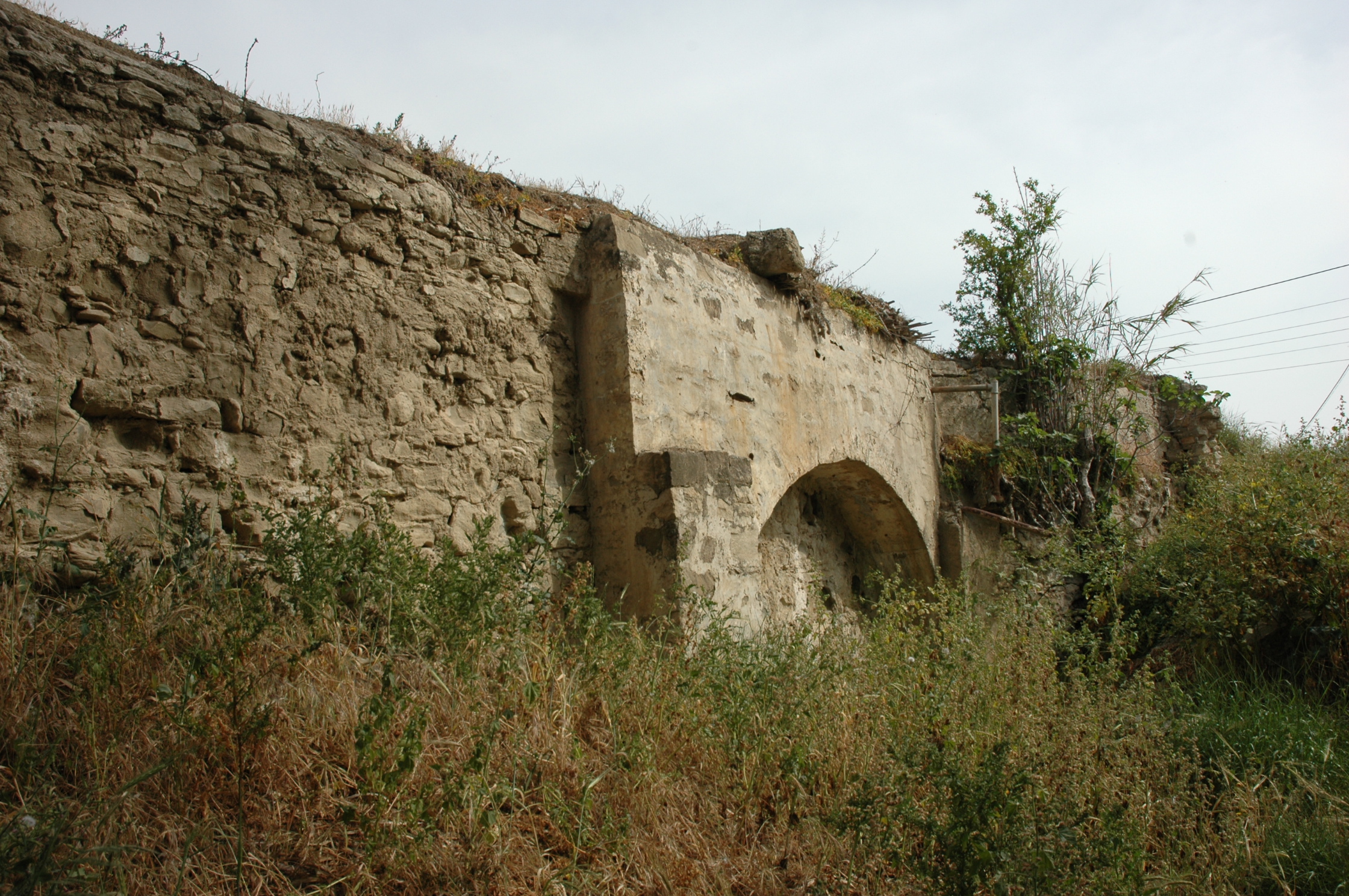 Image Description