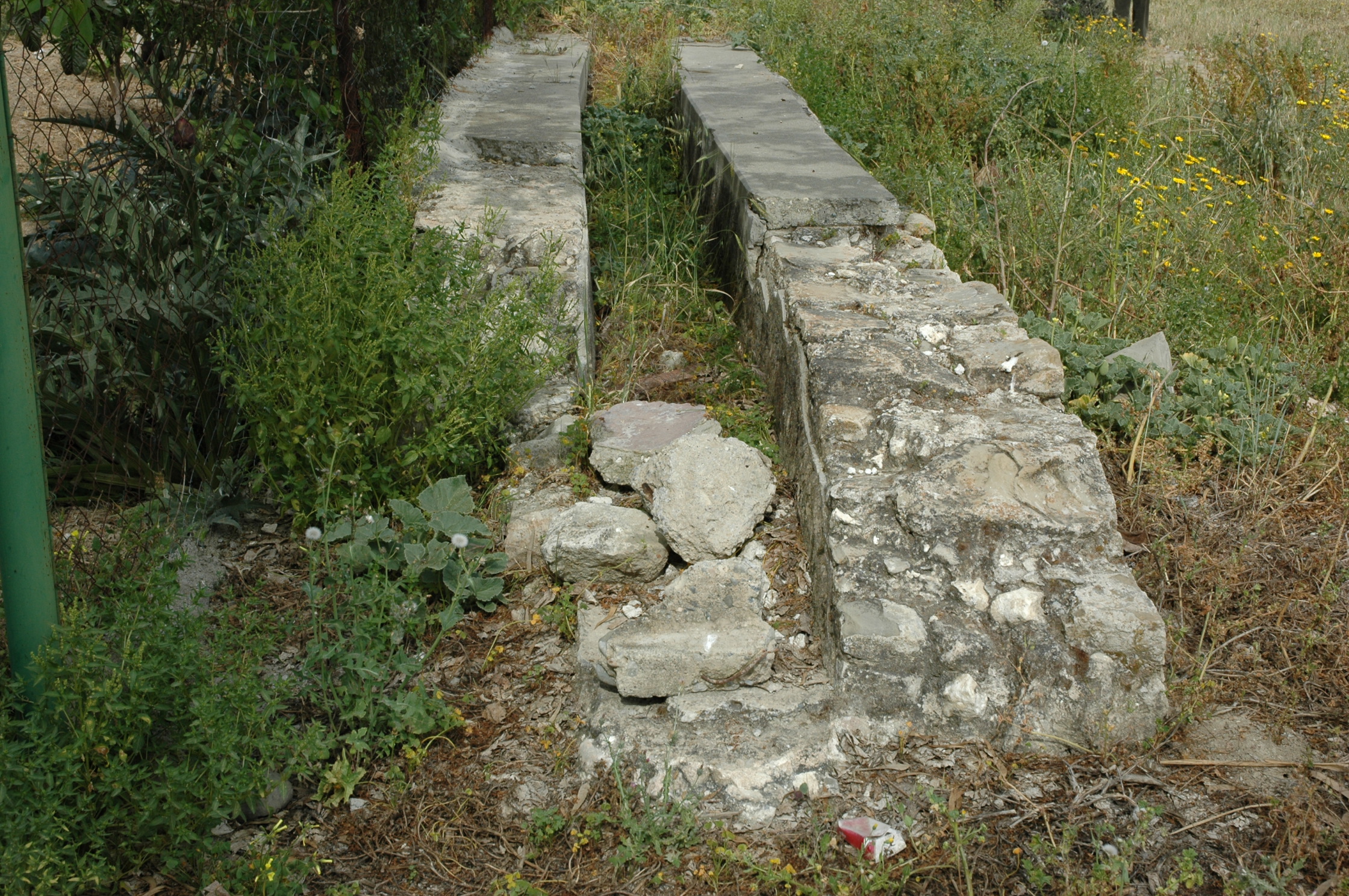 Image Description