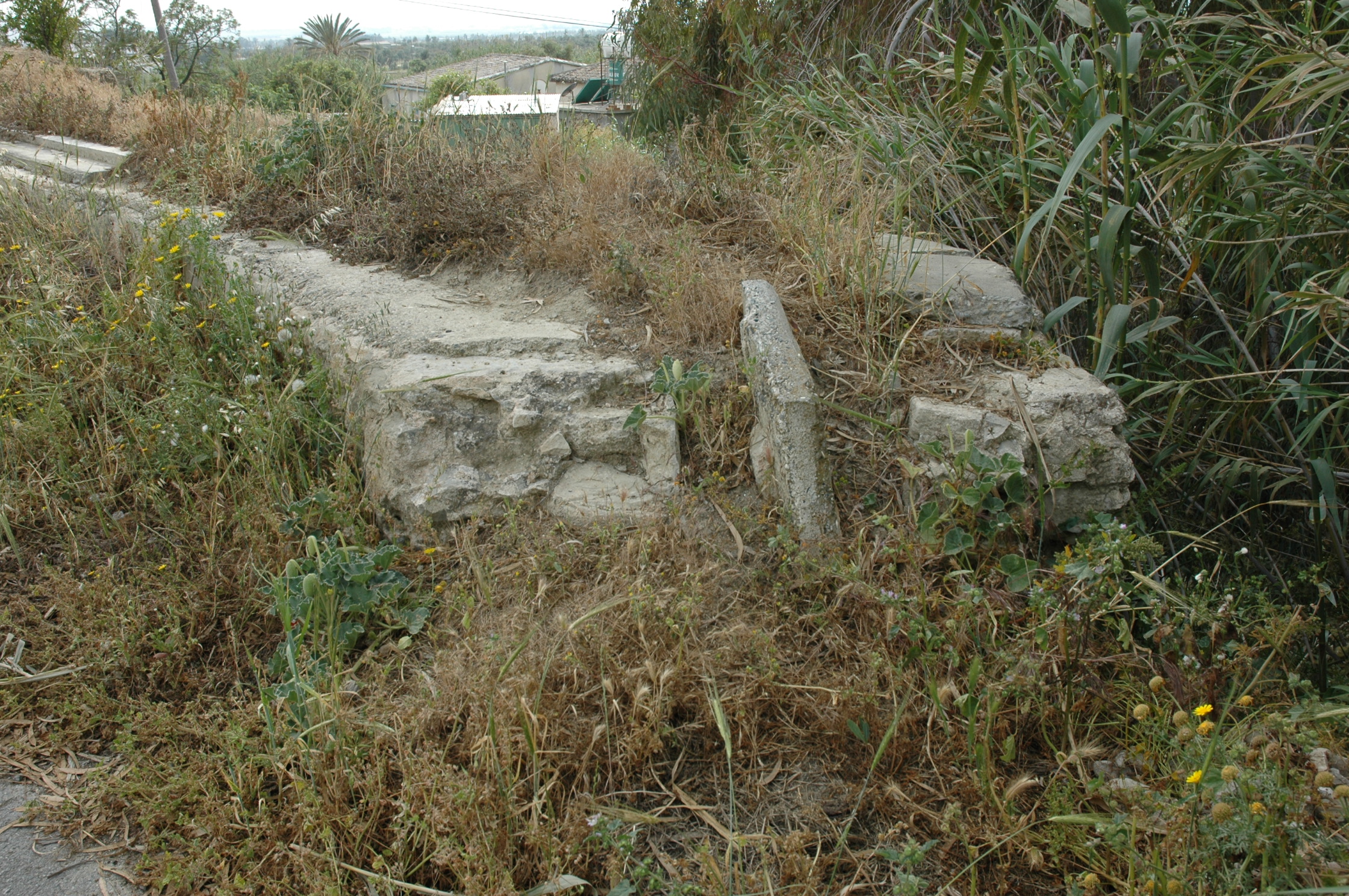 Image Description