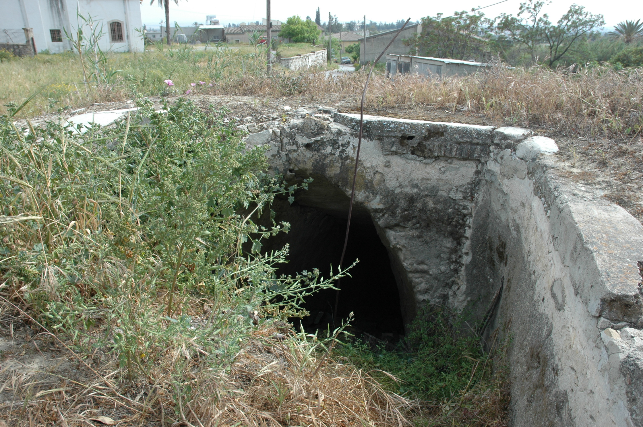 Image Description