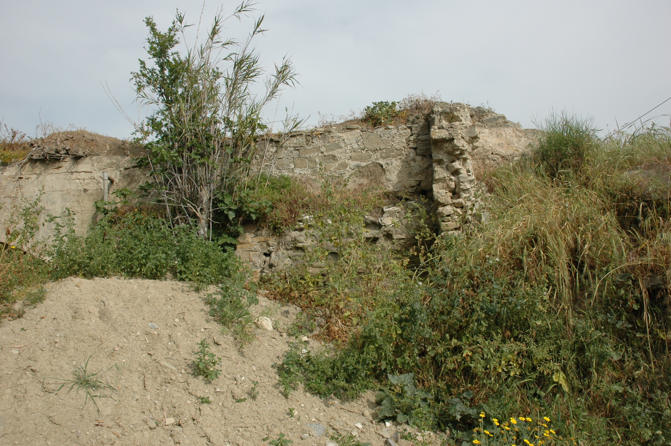 Image Description