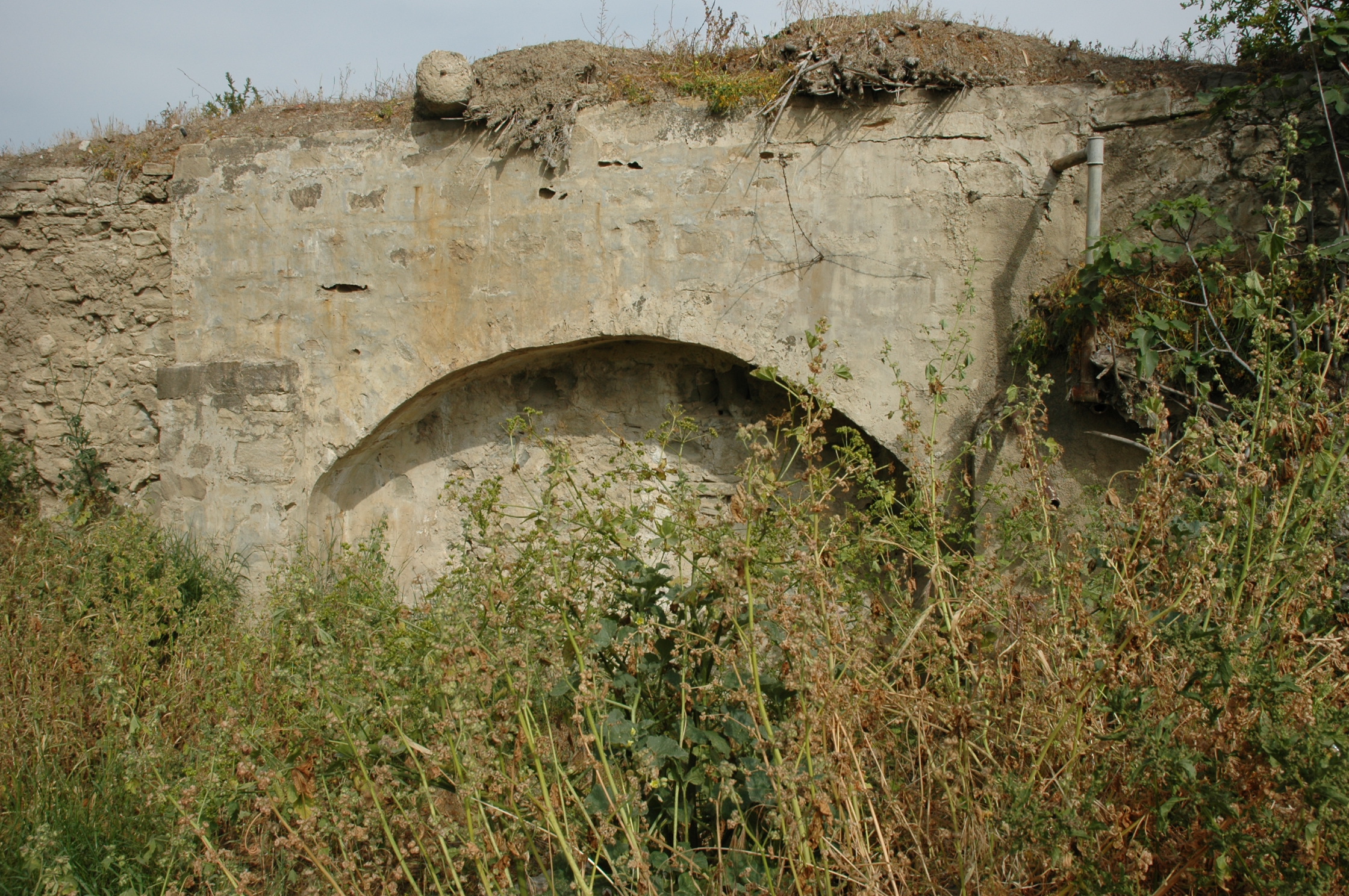Image Description