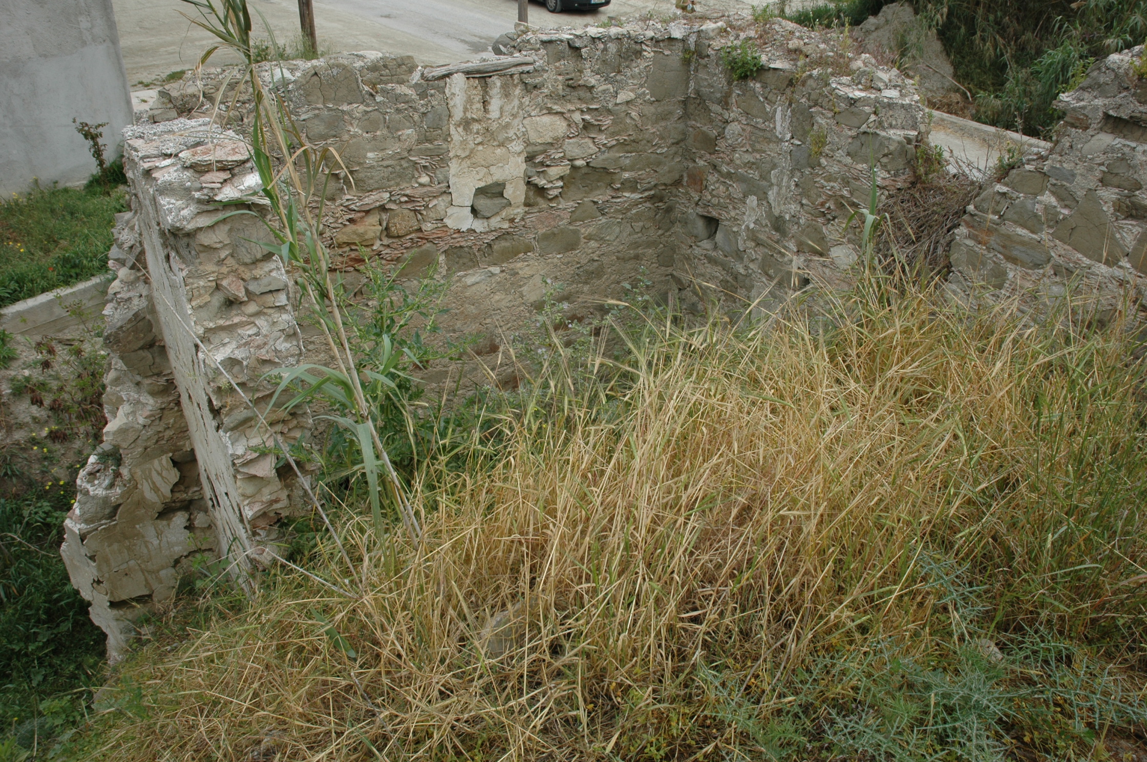Image Description