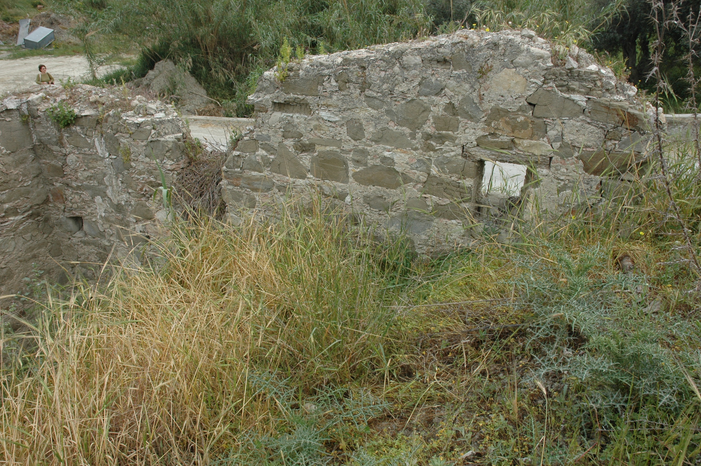 Image Description