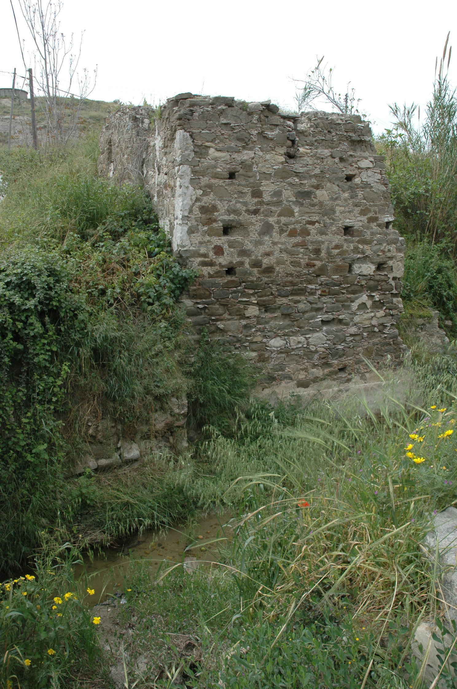 Image Description