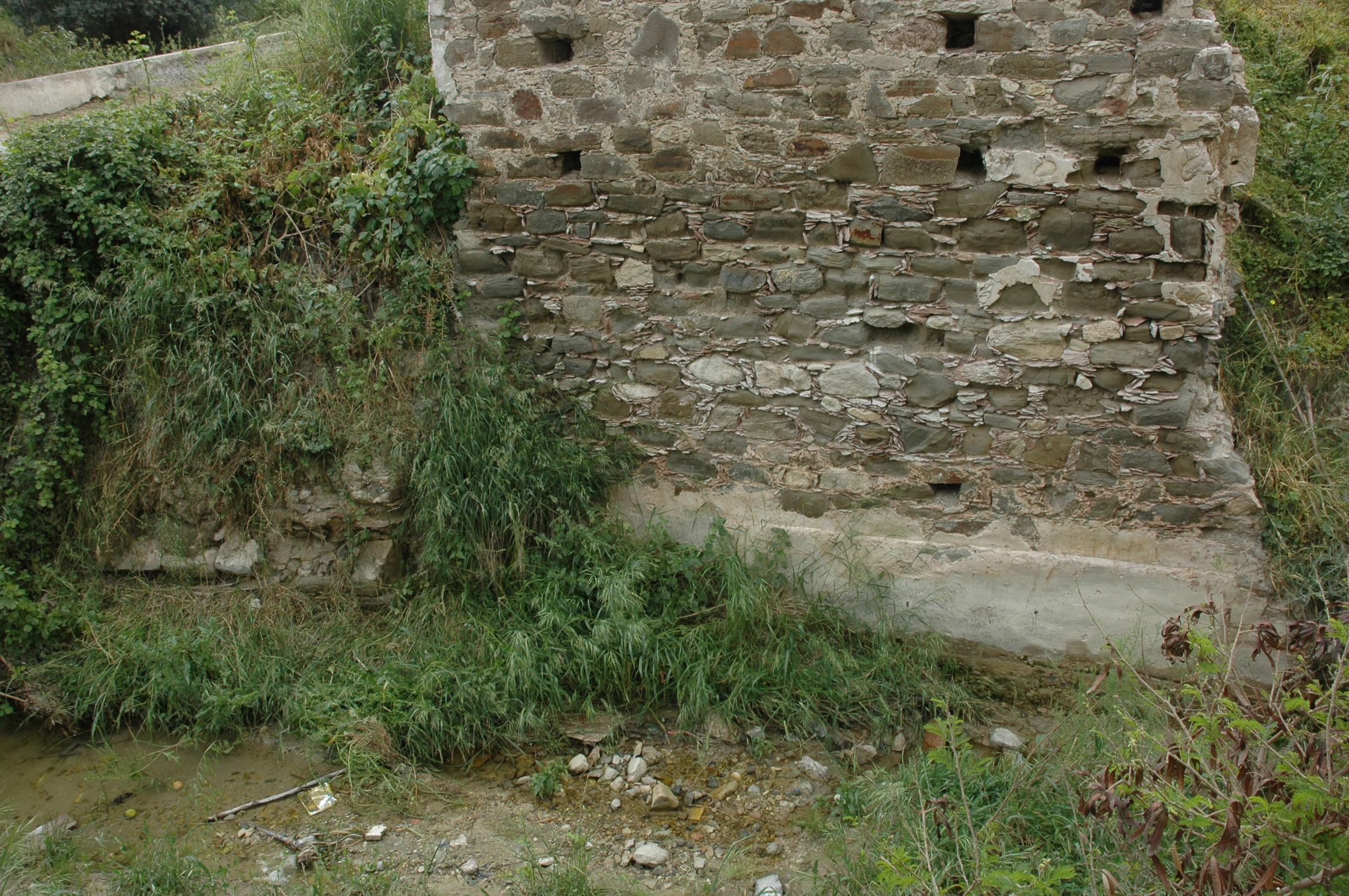 Image Description