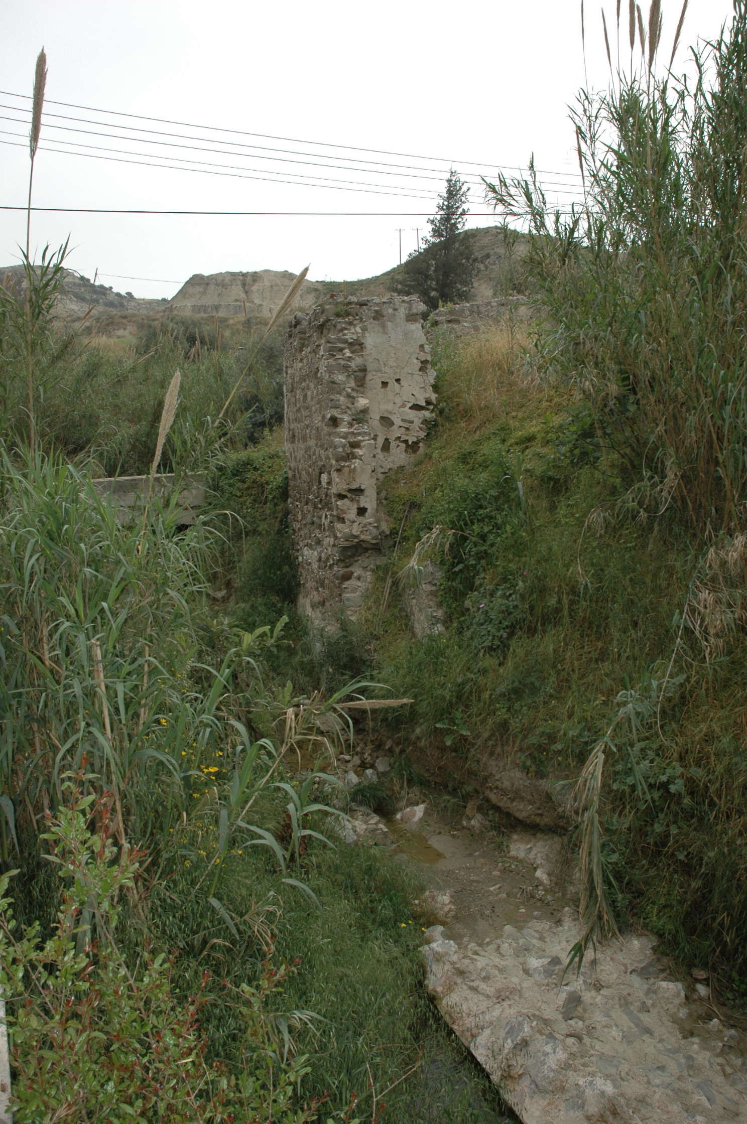 Image Description