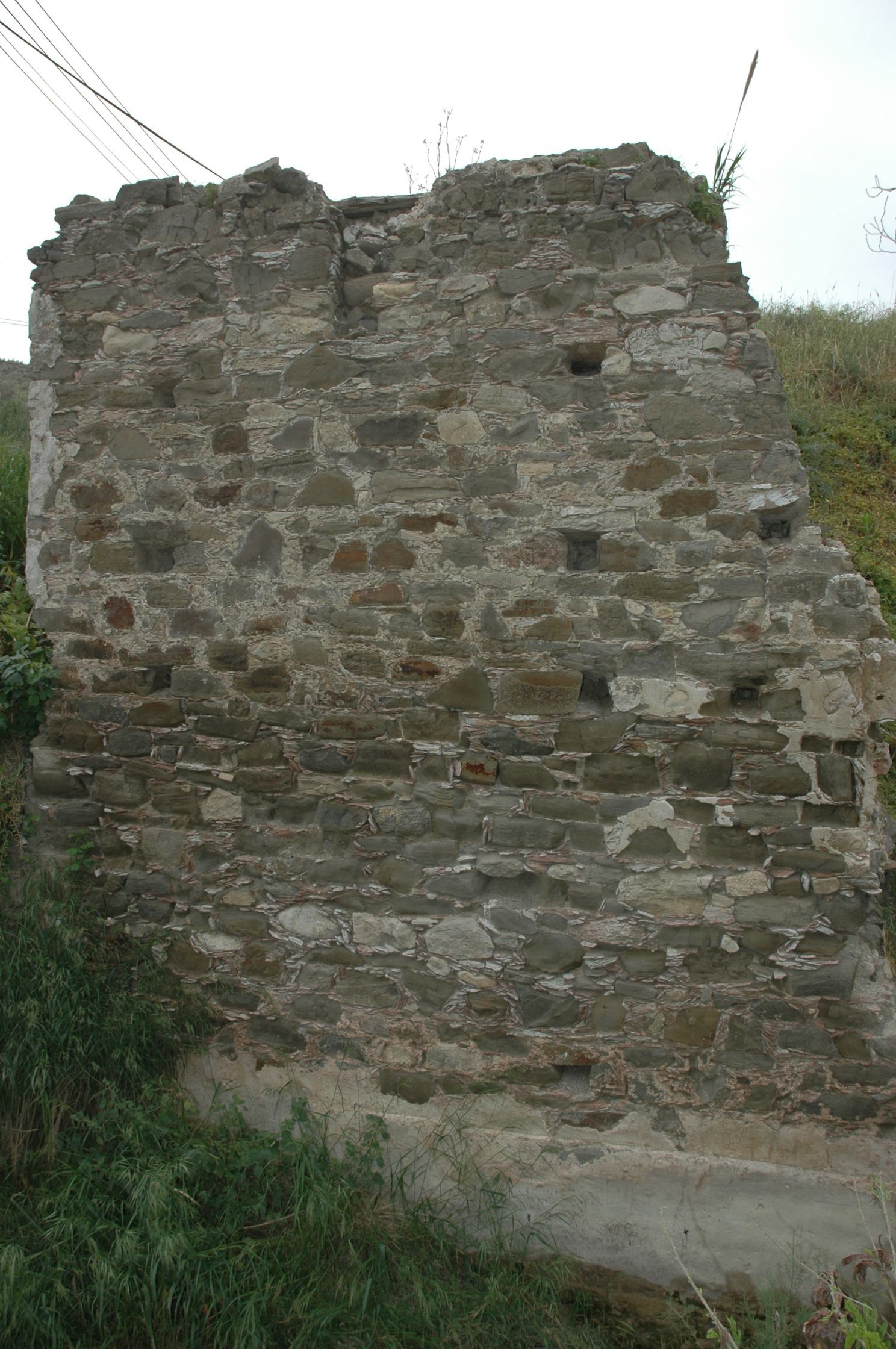 Image Description