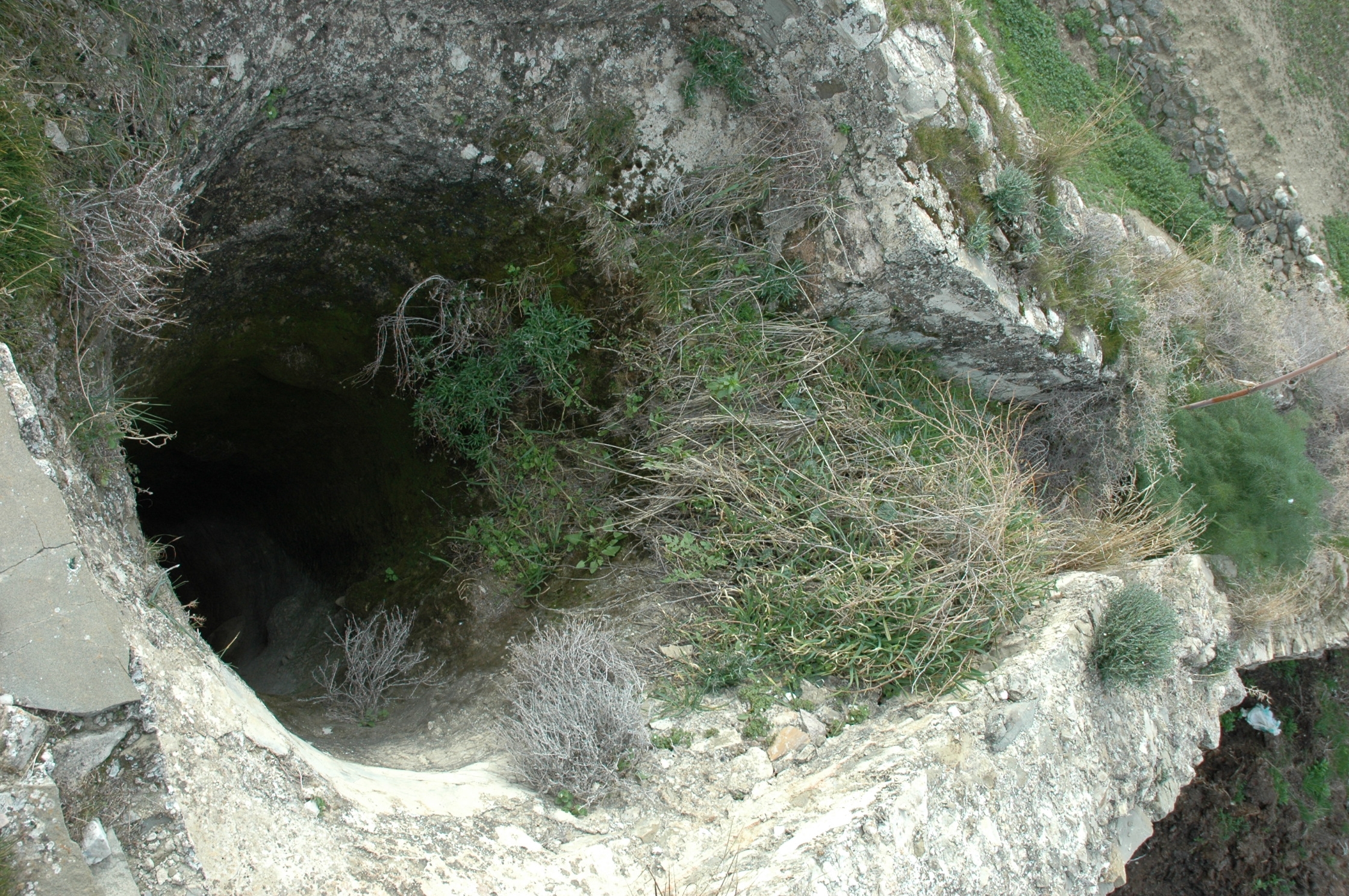 Image Description