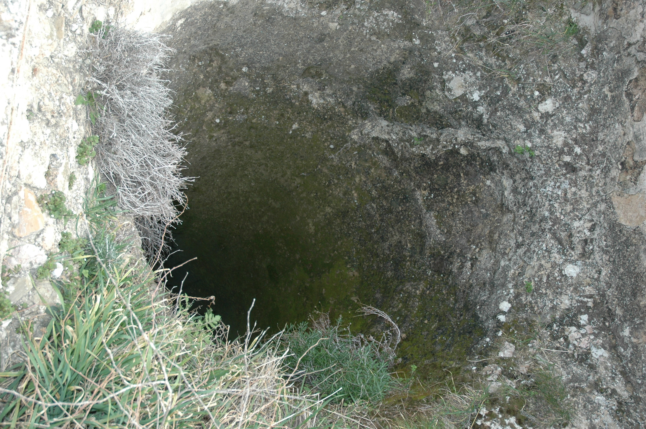 Image Description
