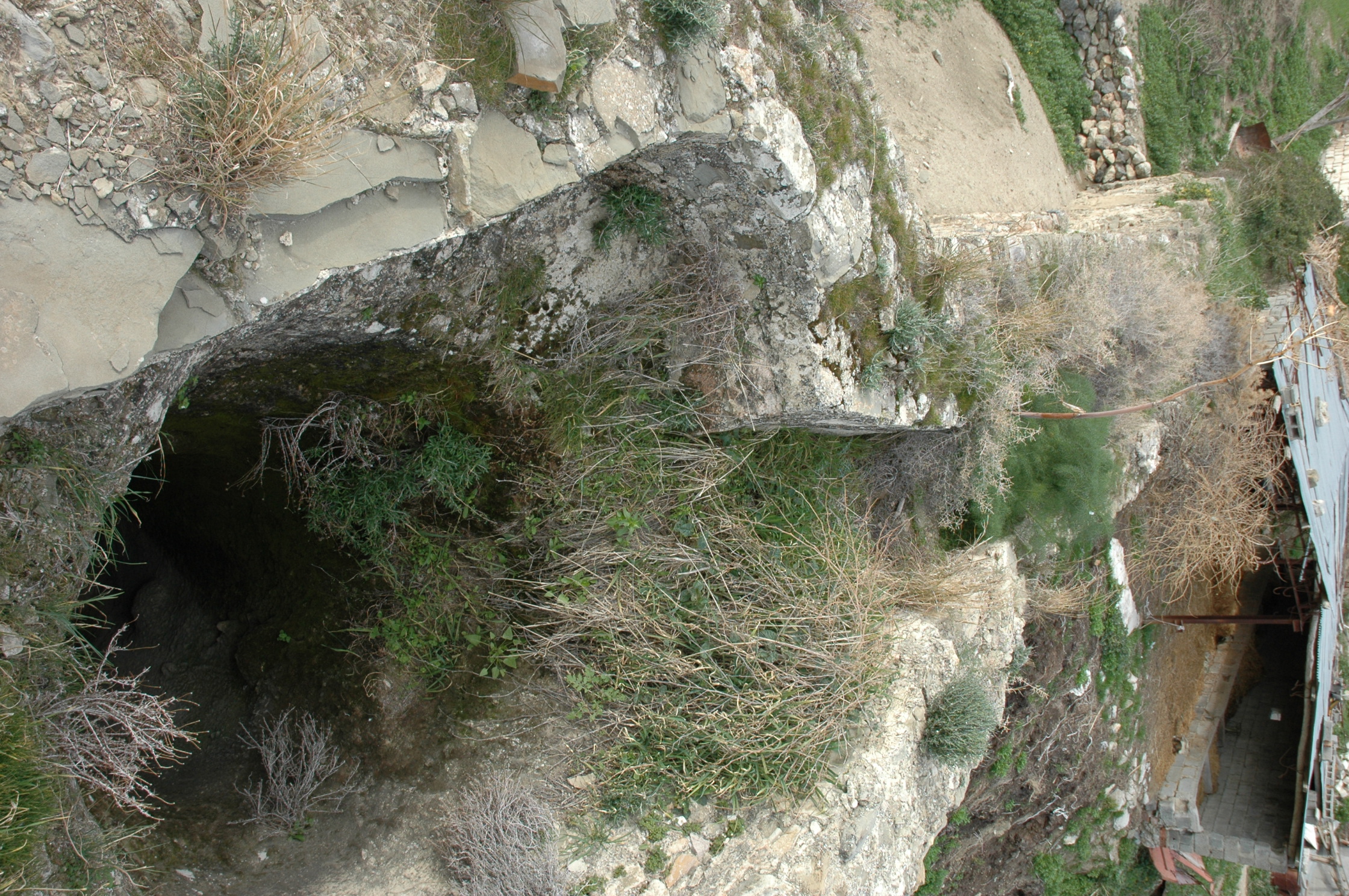 Image Description