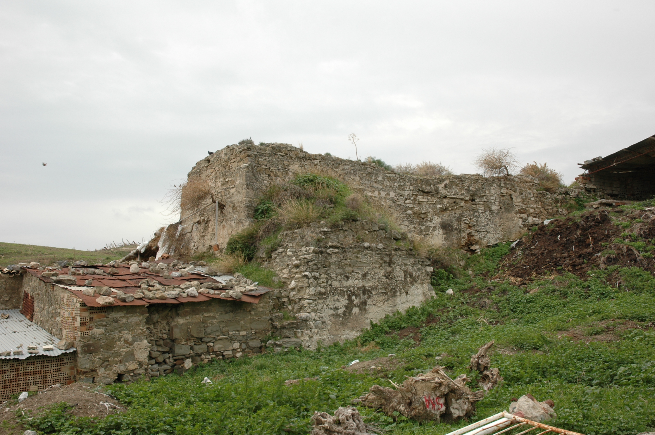 Image Description