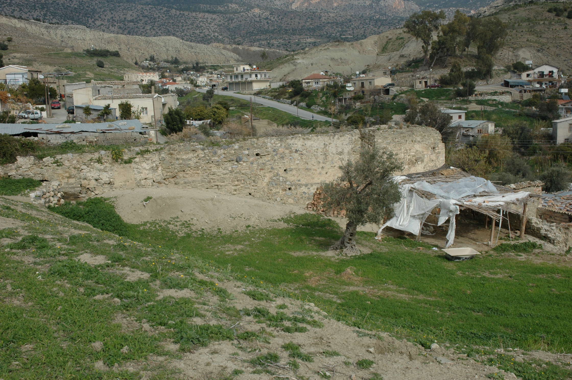 Image Description