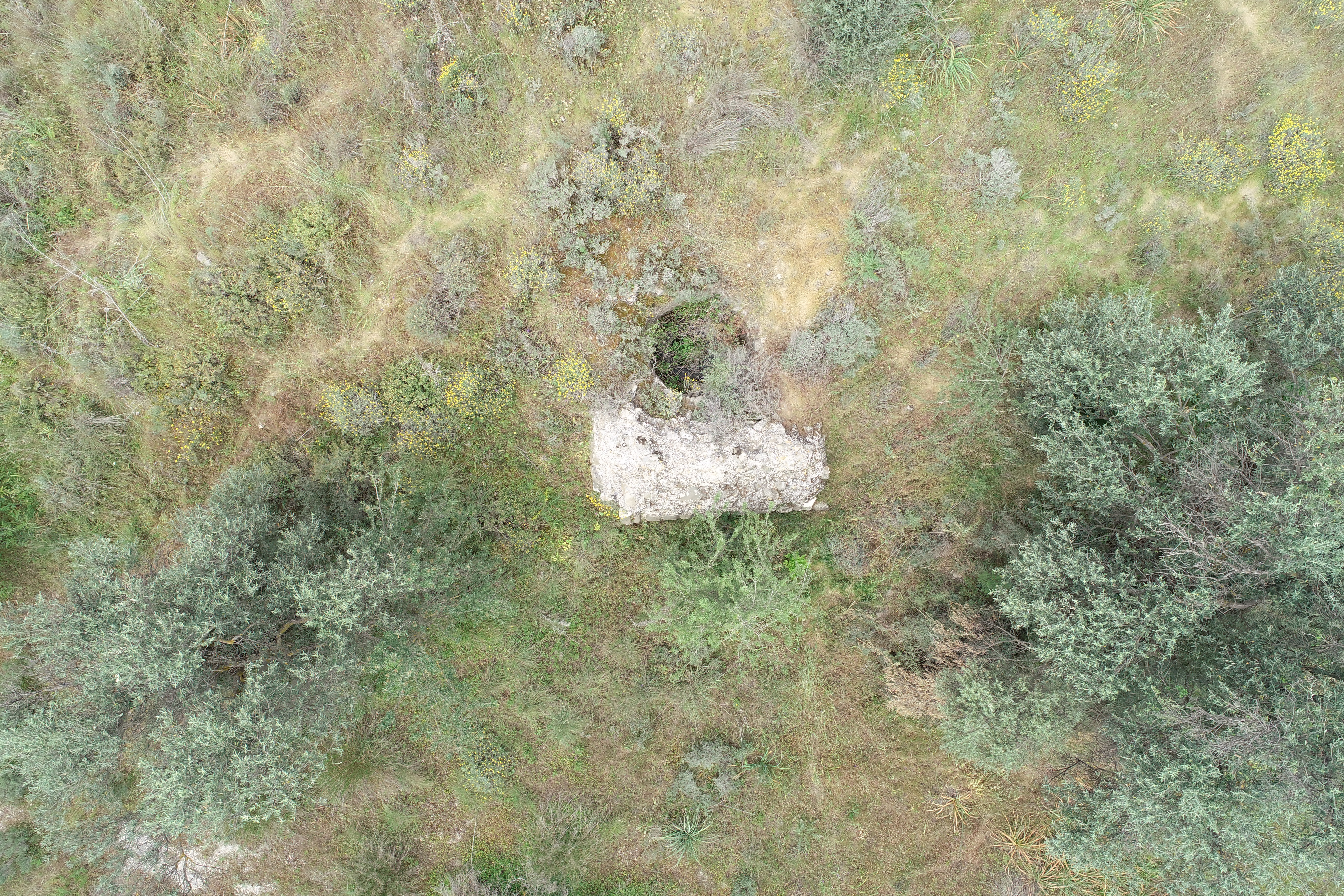 Image Description