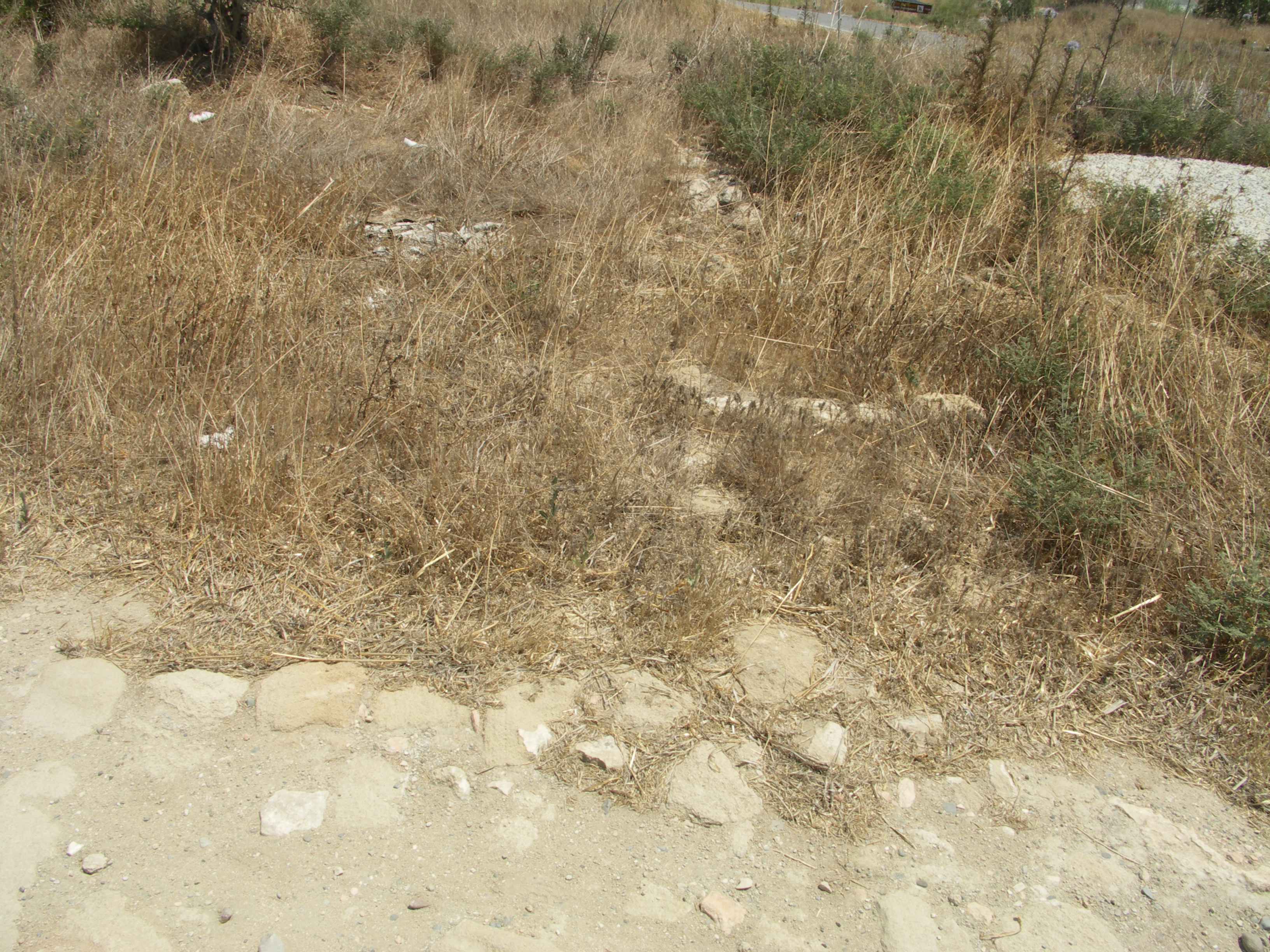 Image Description