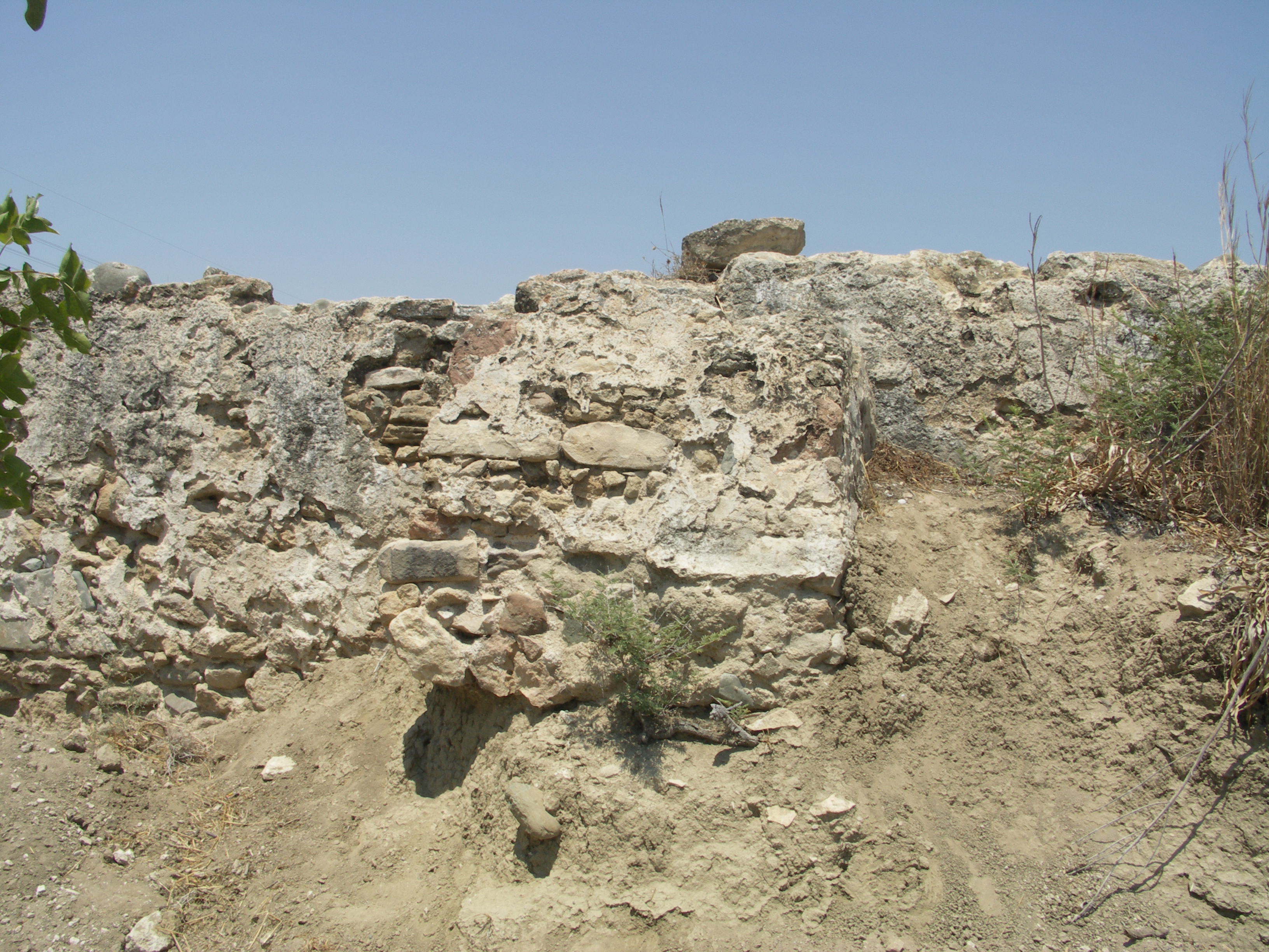 Image Description