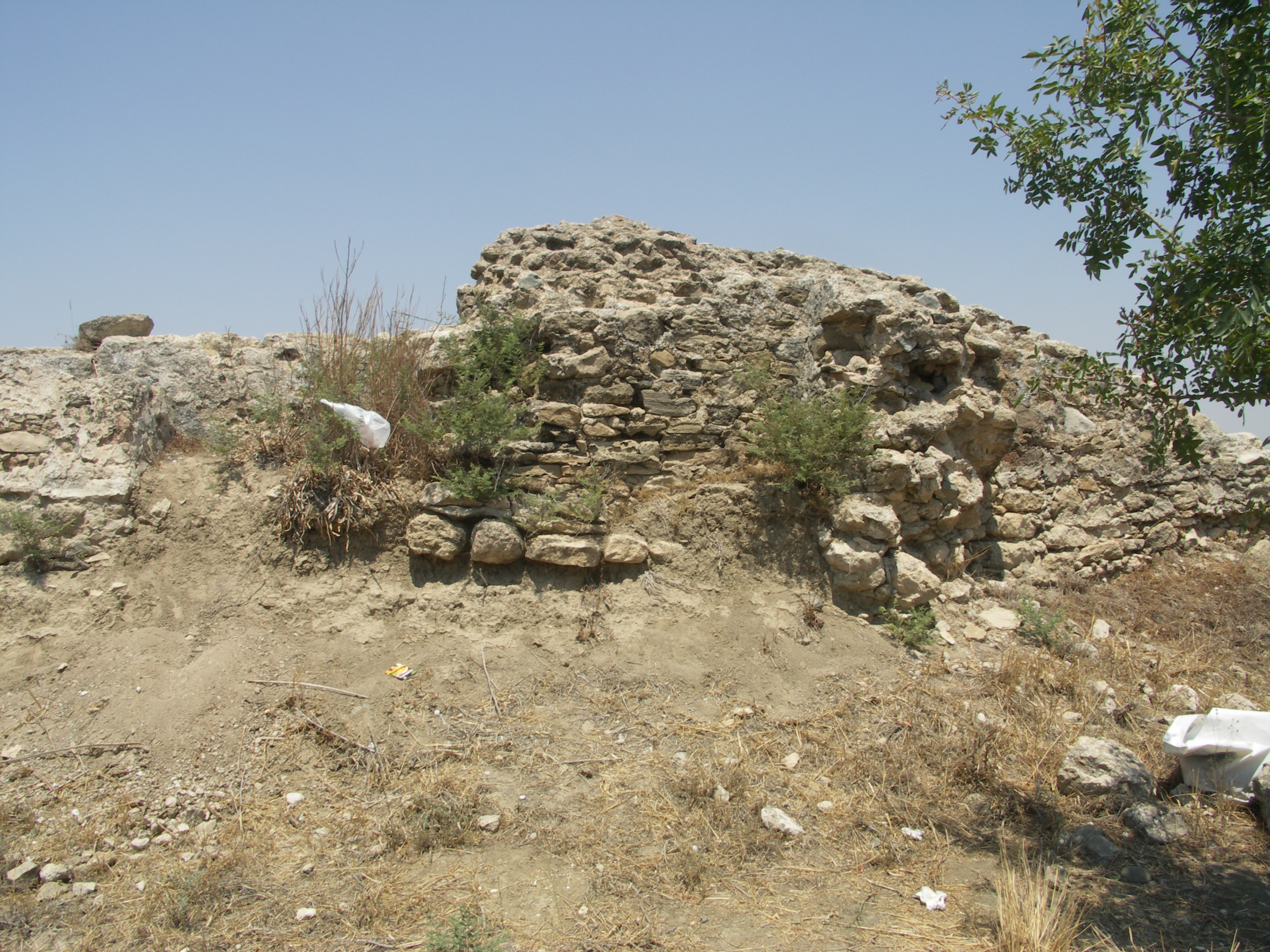Image Description