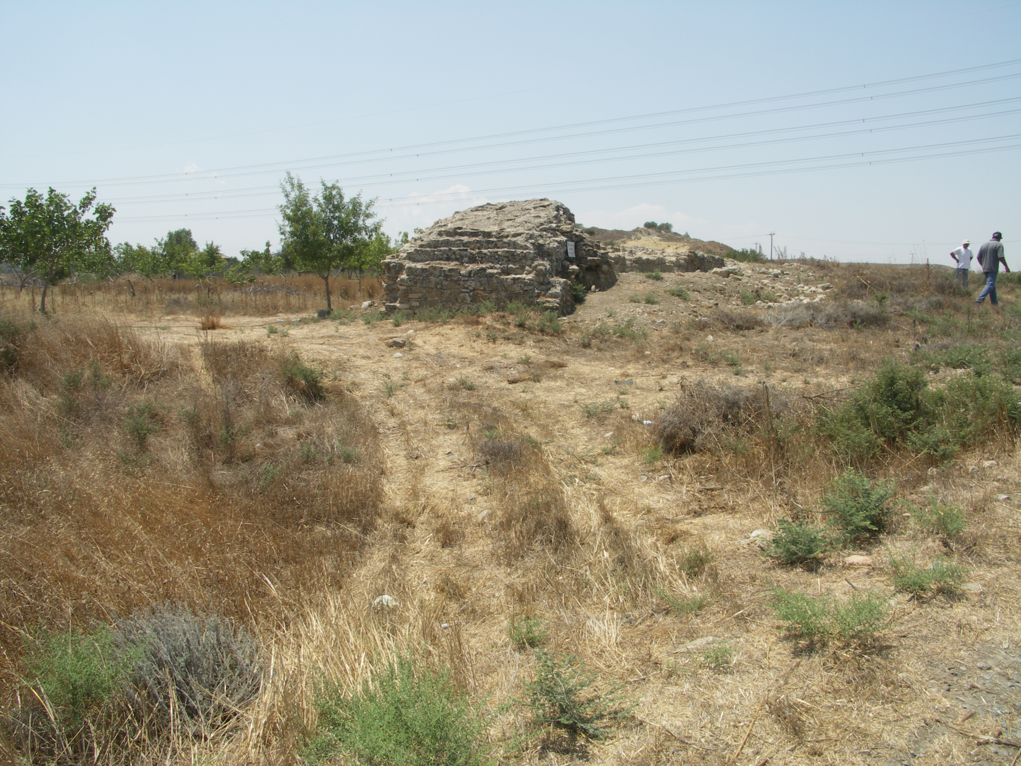 Image Description