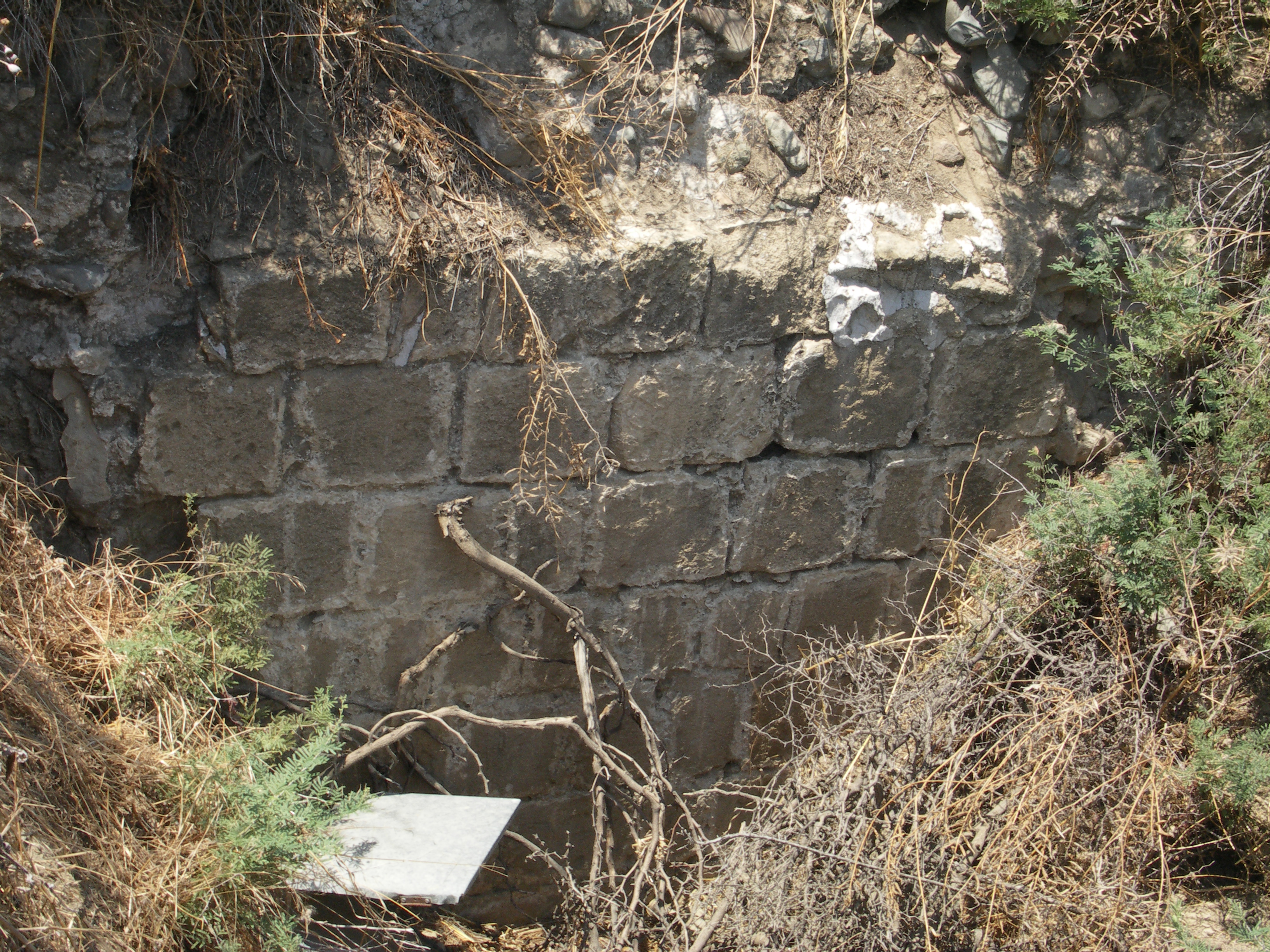 Image Description