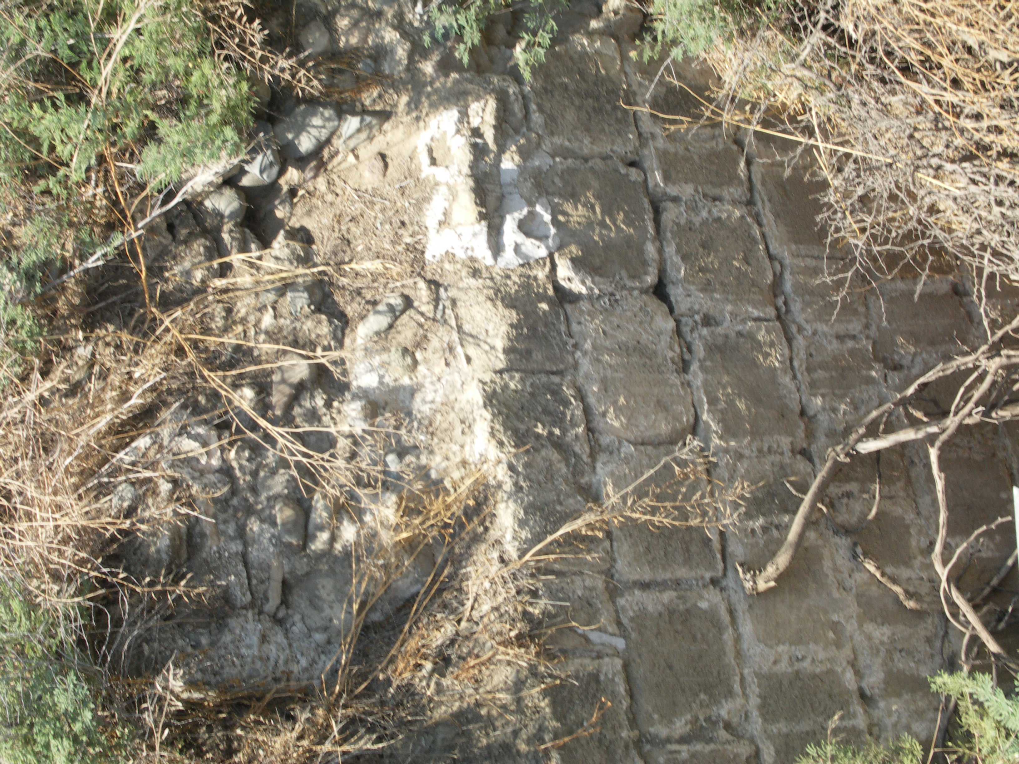 Image Description