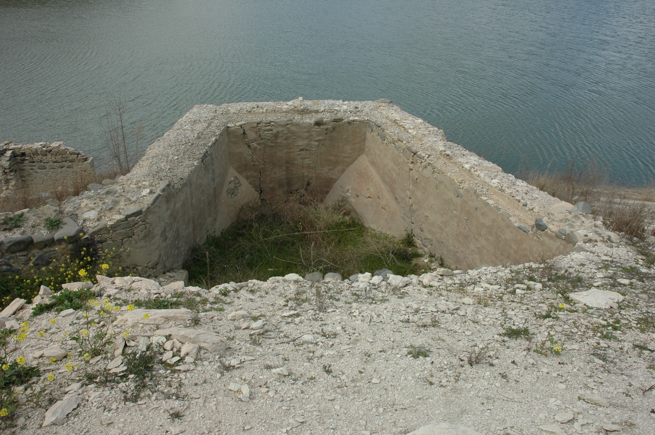 Image Description