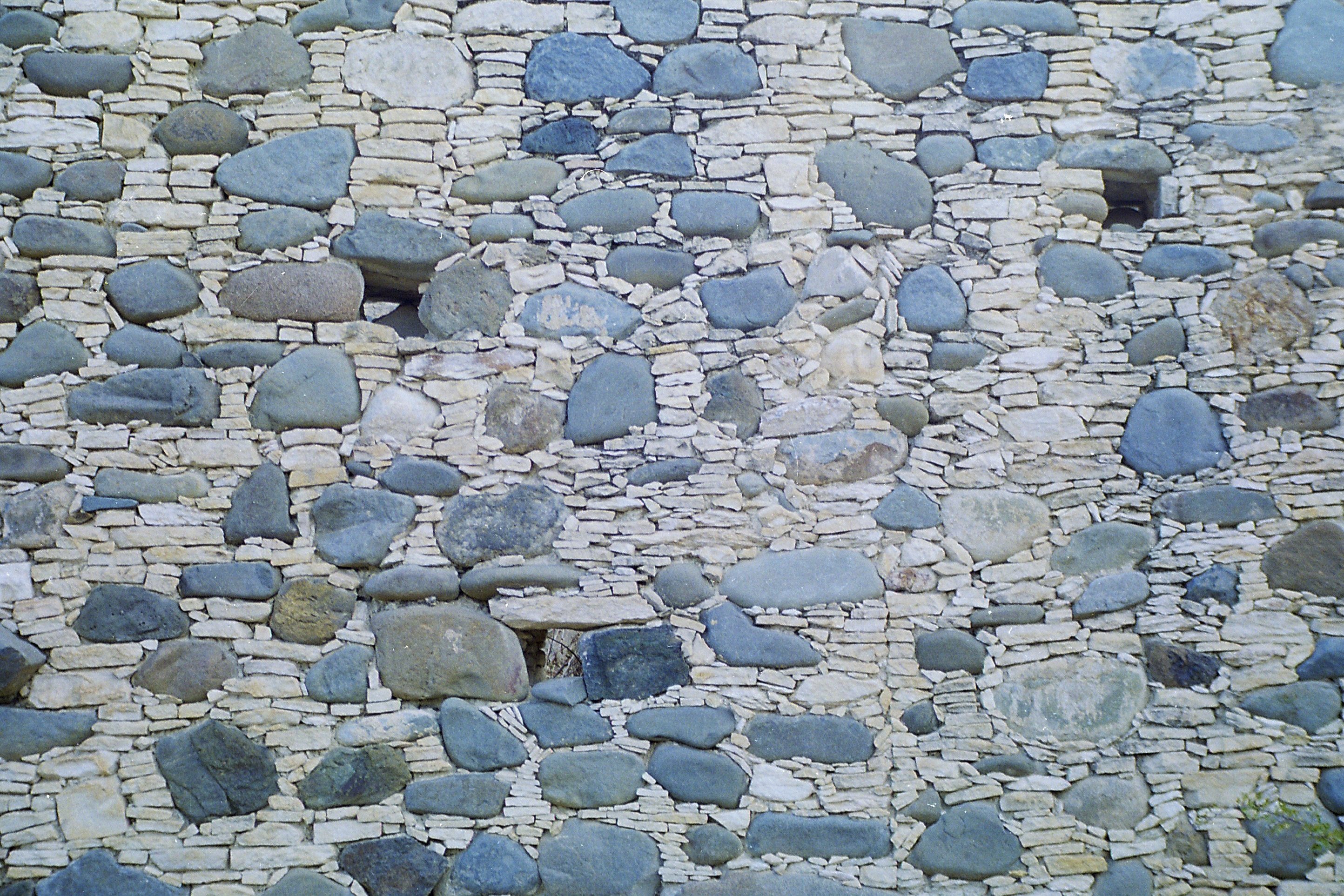 Image Description