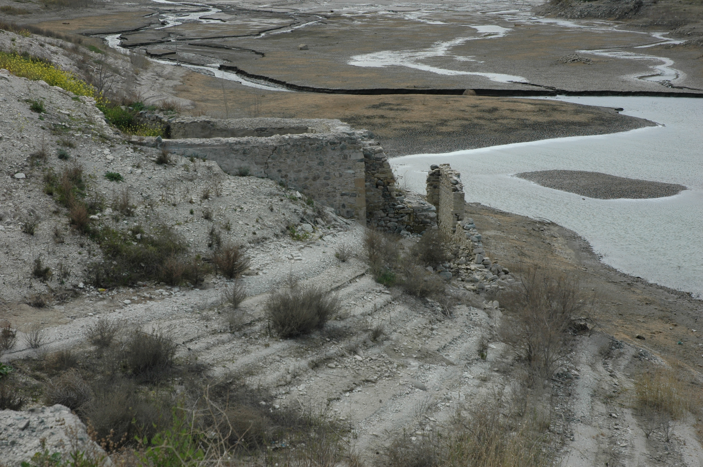Image Description