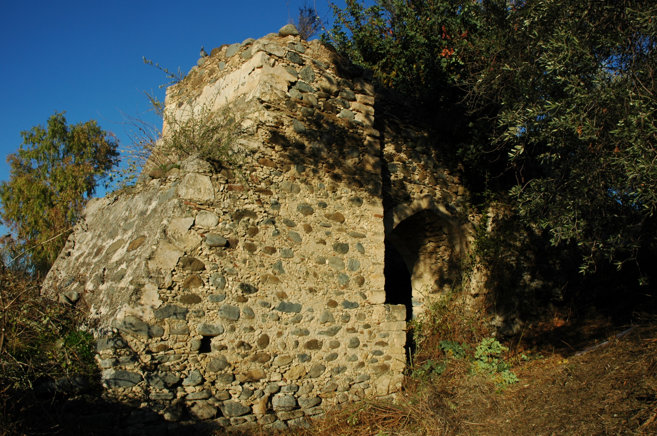 Image Description