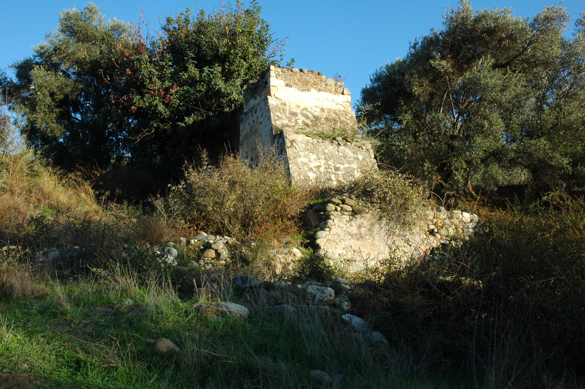 Image Description