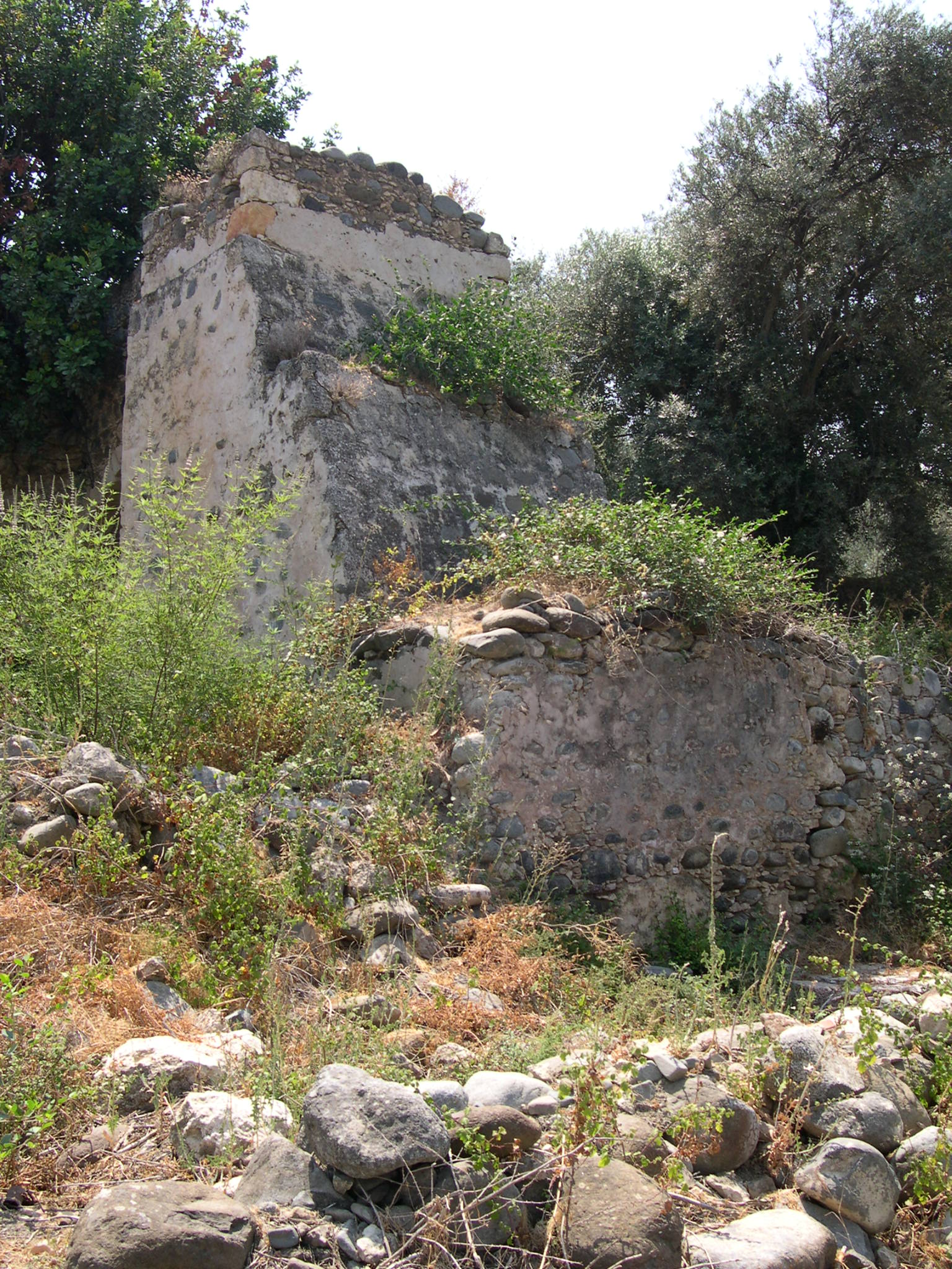 Image Description