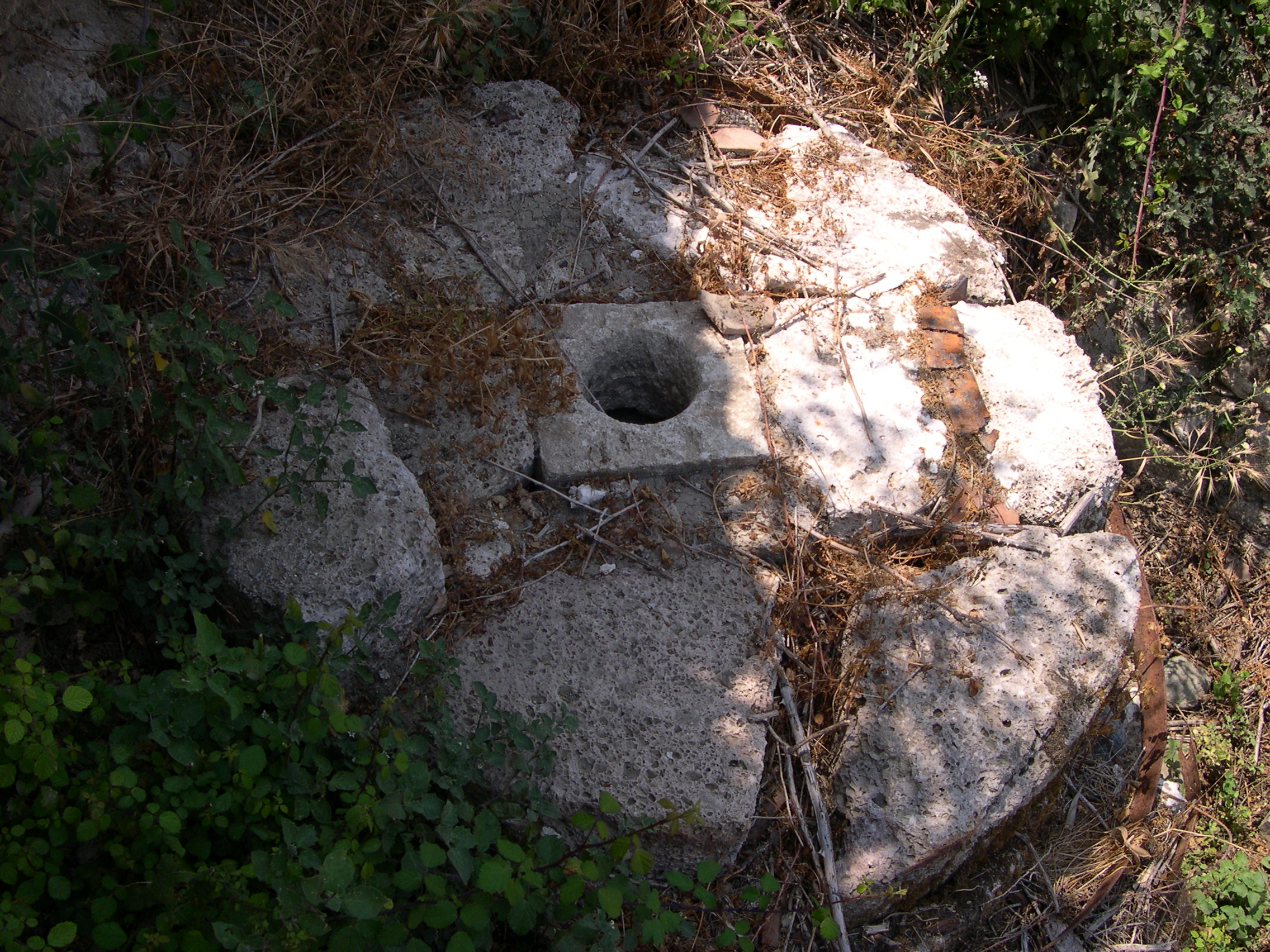 Image Description