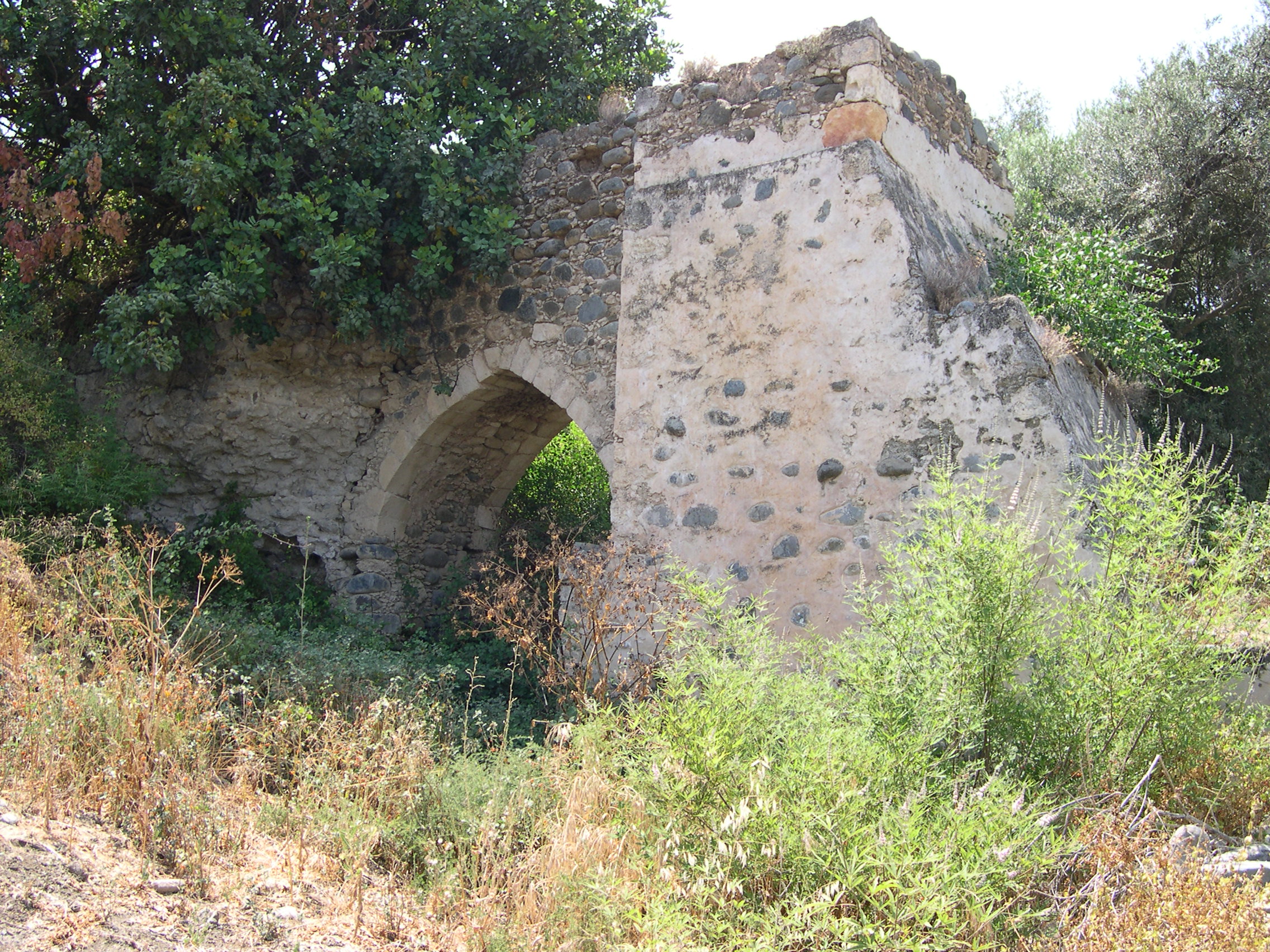 Image Description