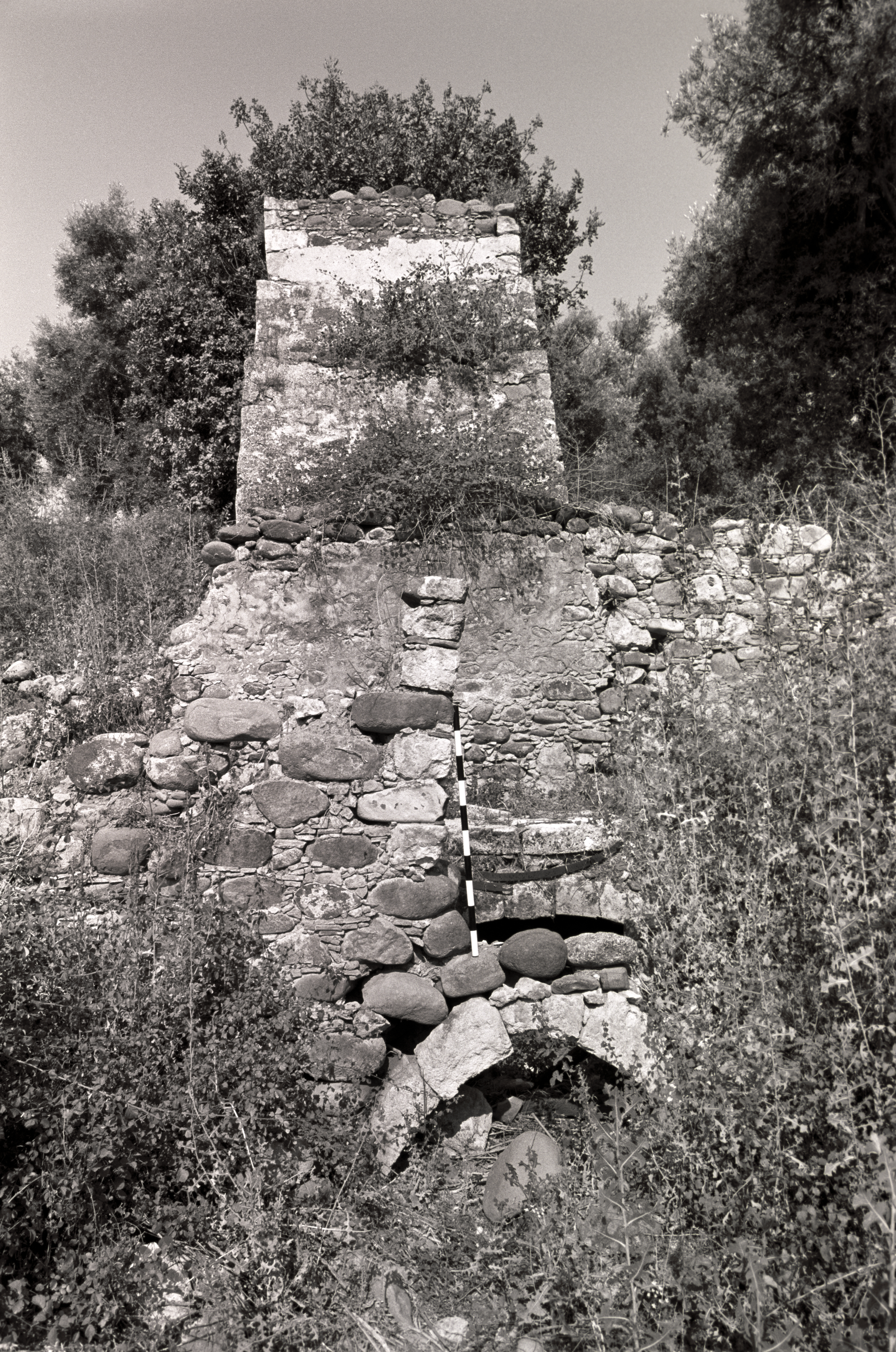 Image Description