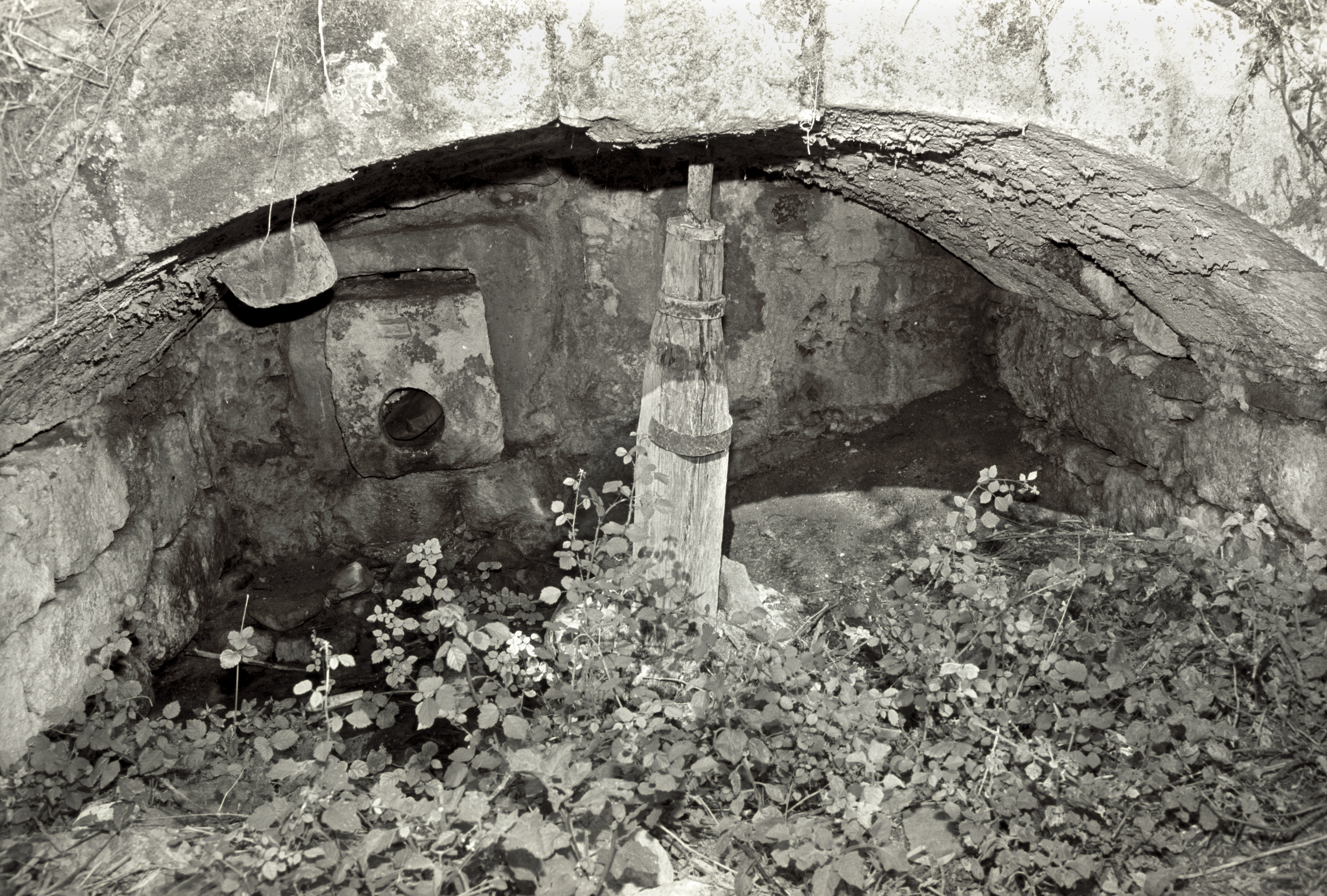 Image Description