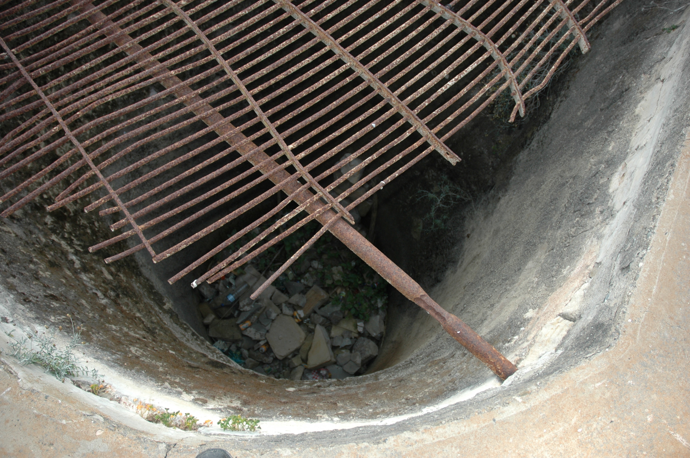 Image Description