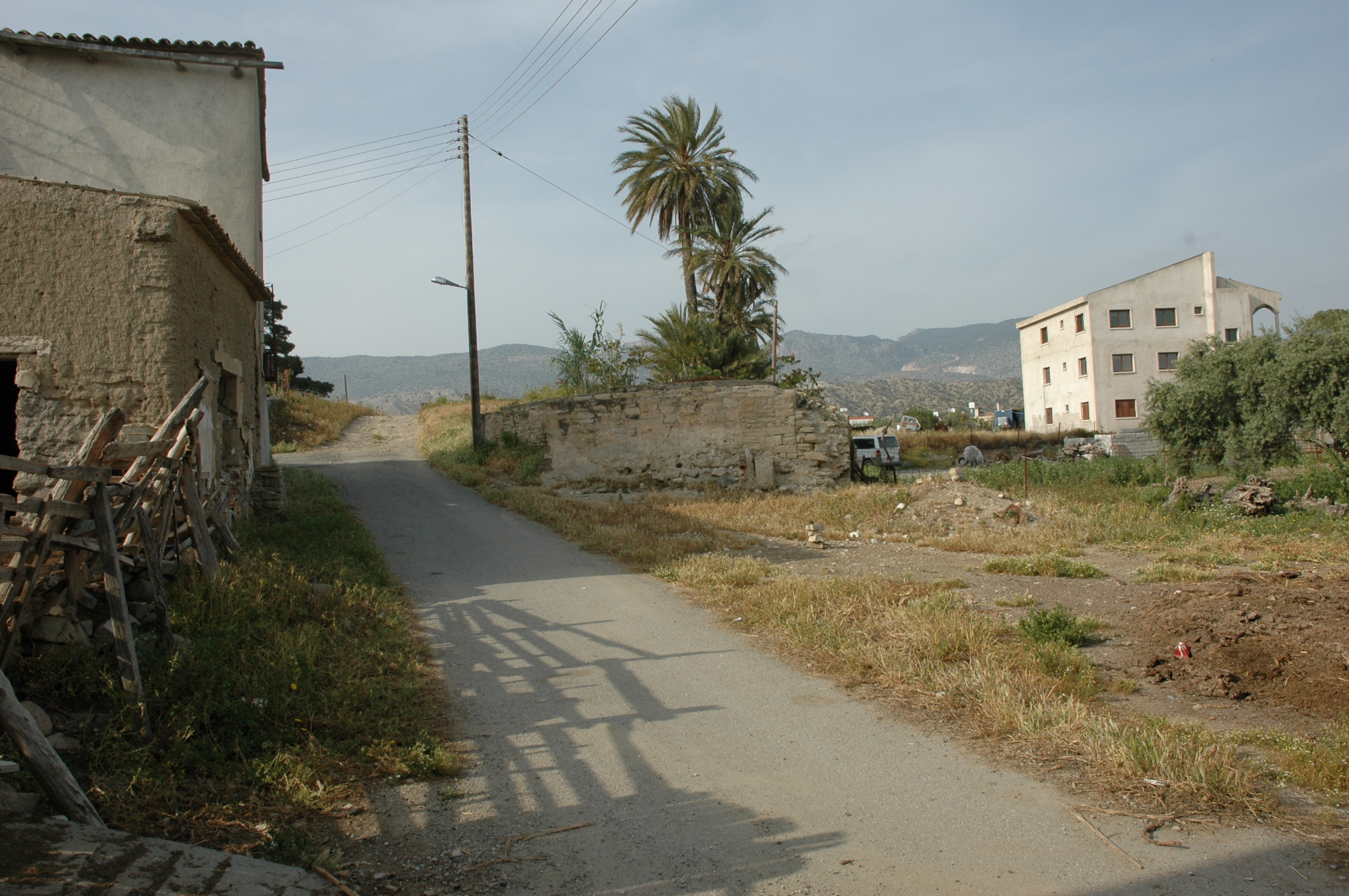 Image Description