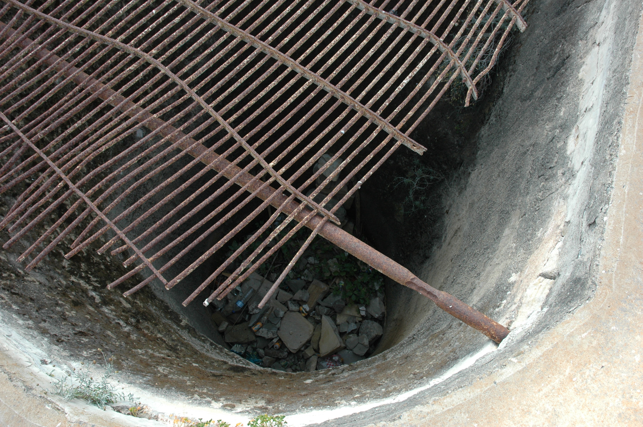 Image Description