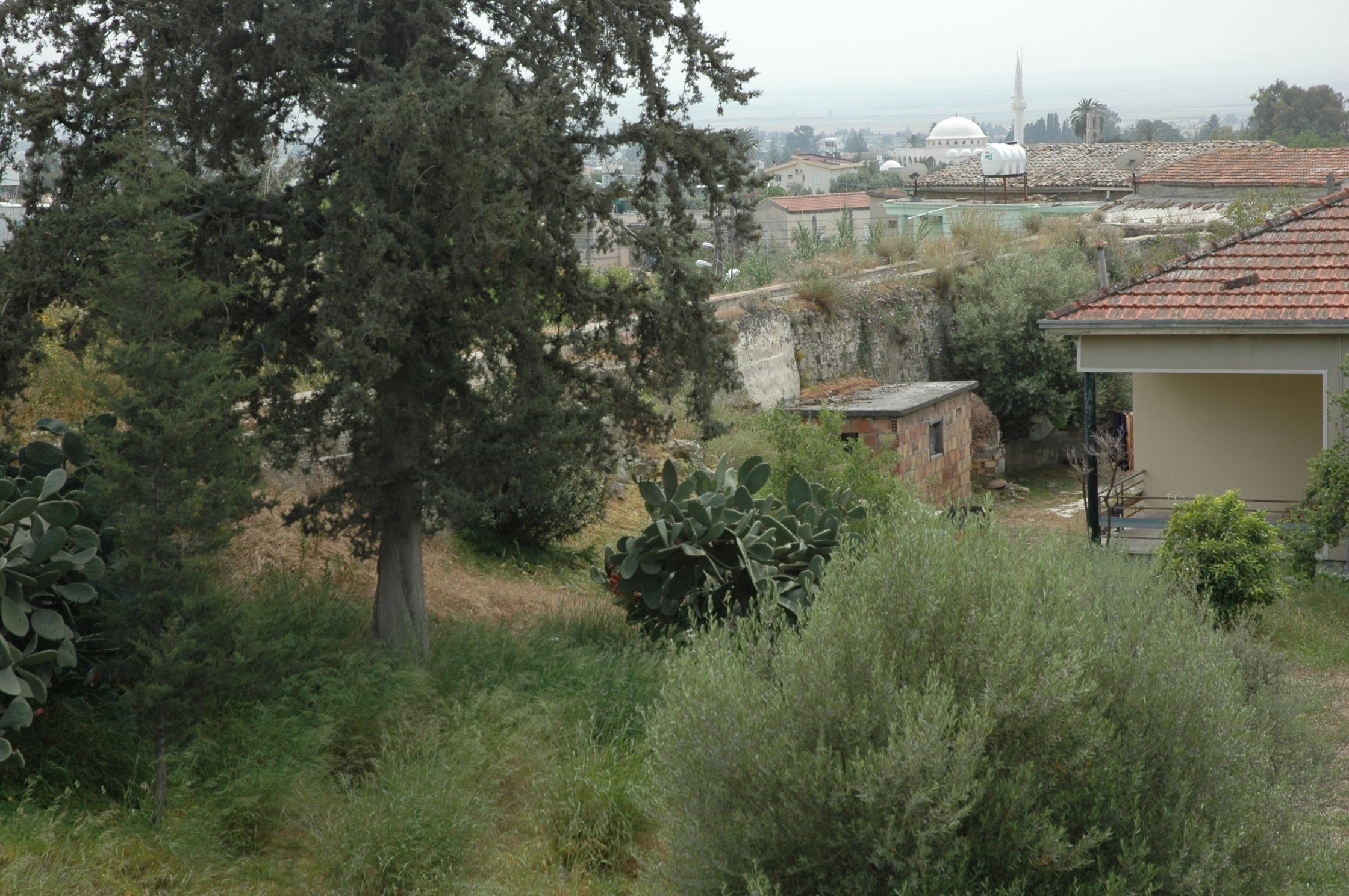 Image Description