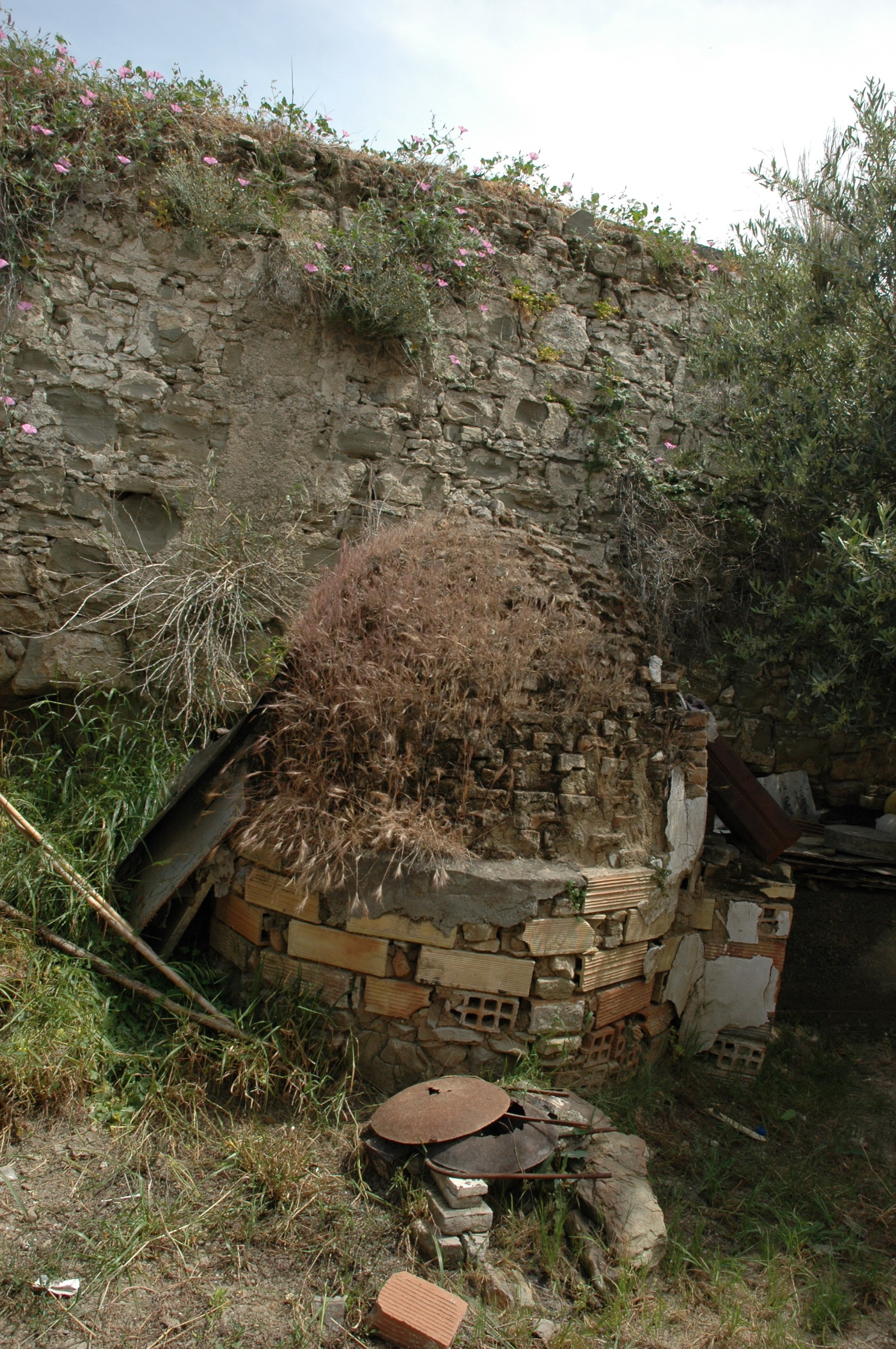 Image Description