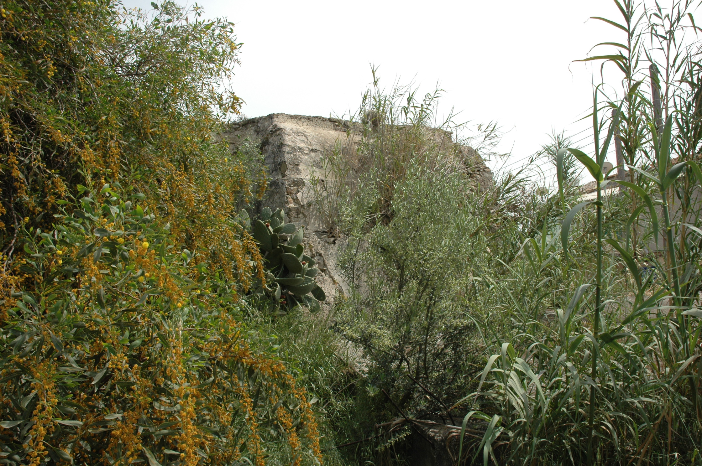 Image Description