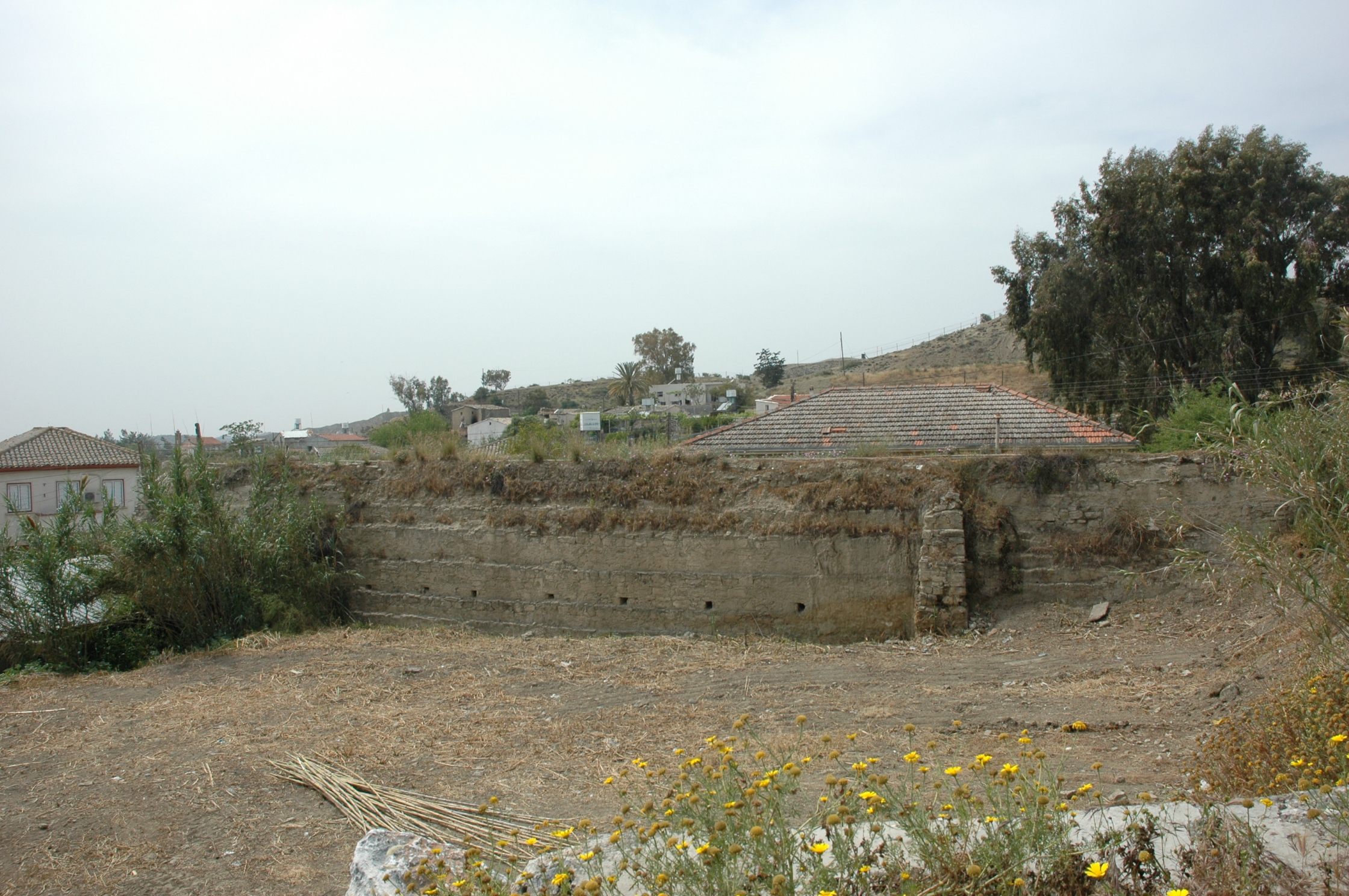 Image Description